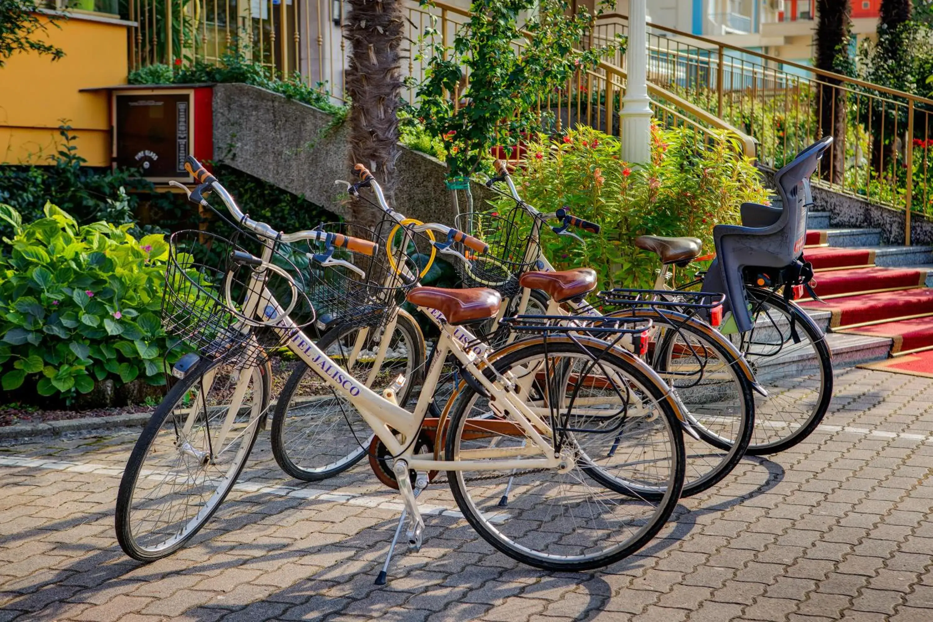 Activities, Biking in Hotel Jalisco