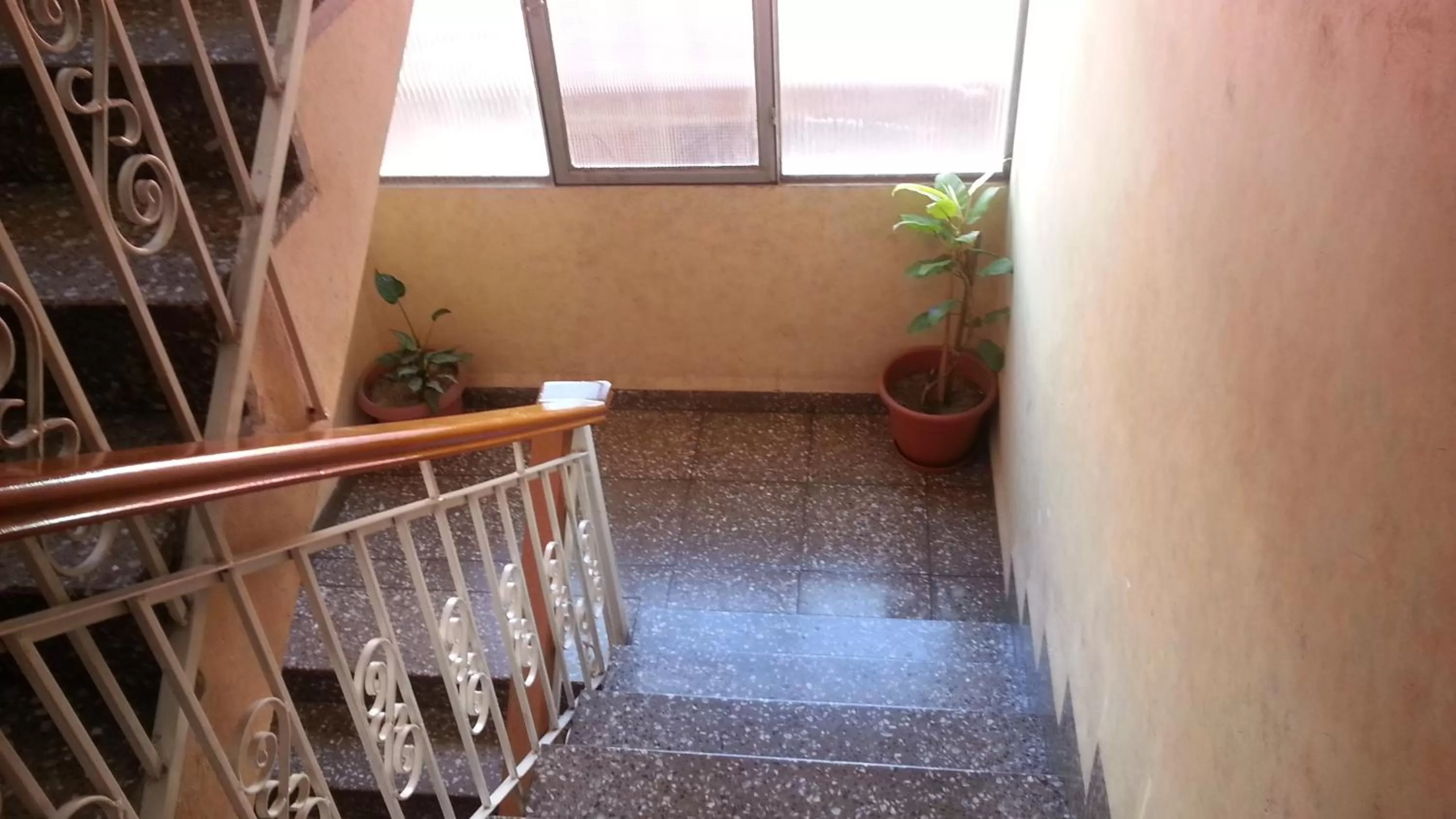 Other in HOTEL MAISON FIORI (Plaza Colon)