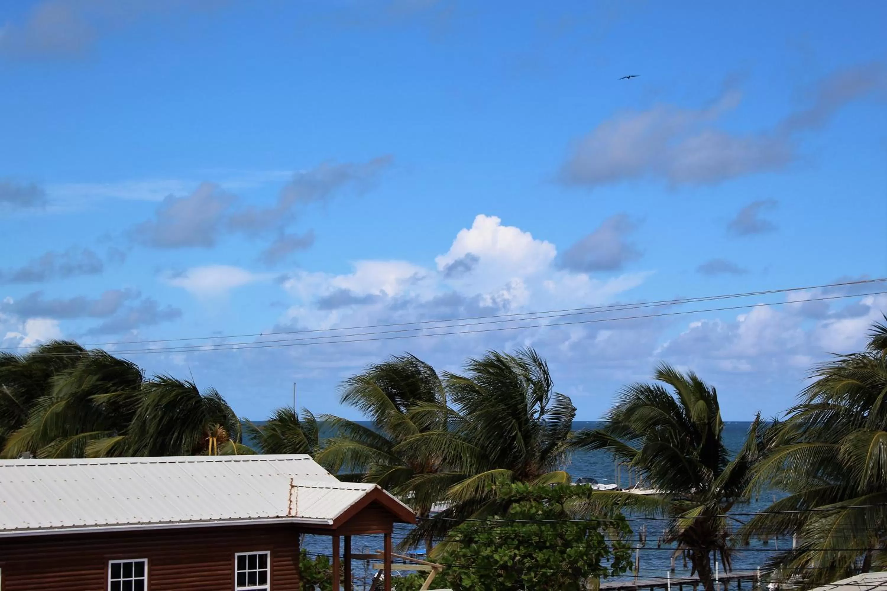 Sea view in Barefoot Caye Caulker Hotel