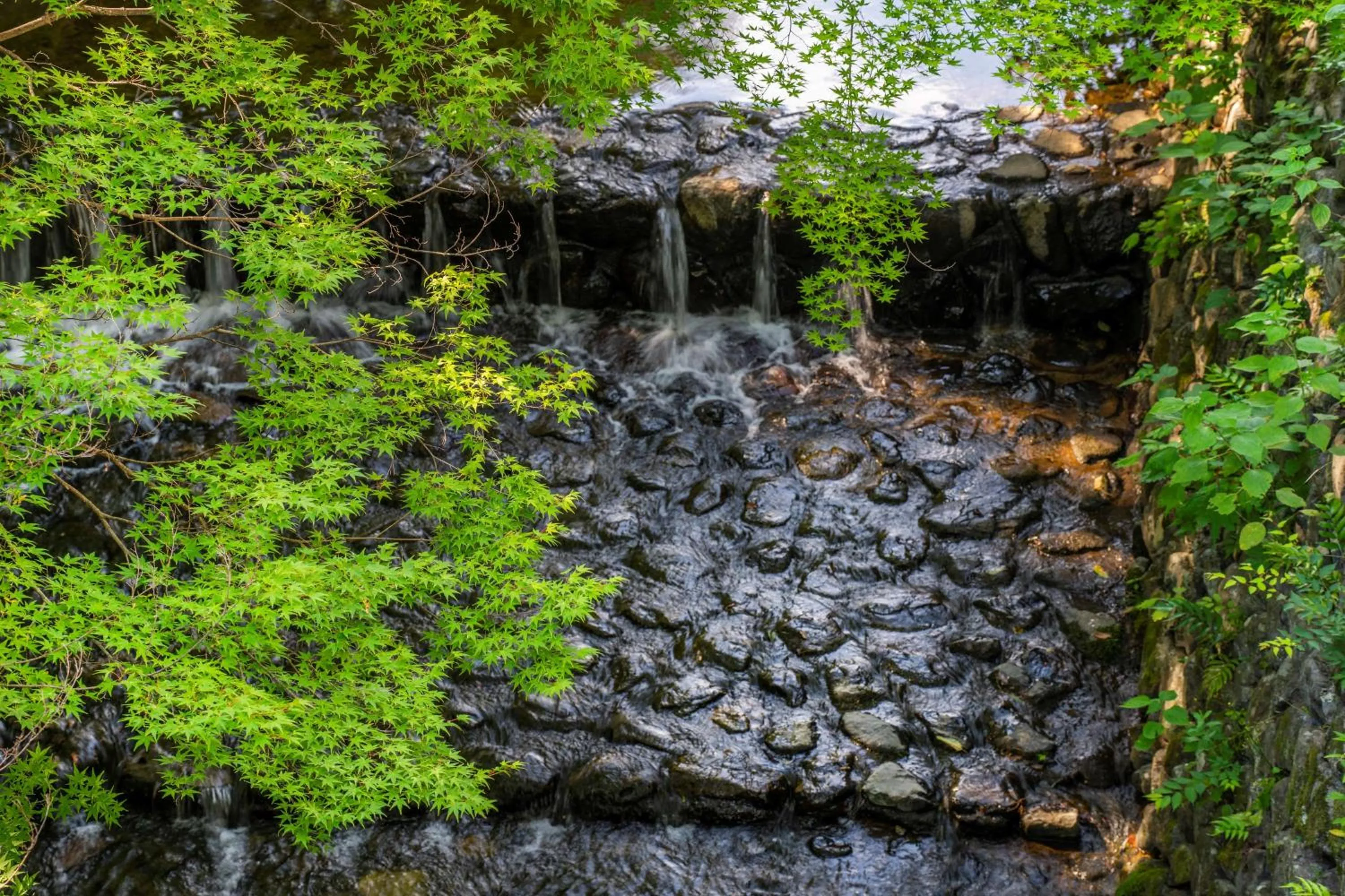 Natural landscape in ROKU KYOTO, LXR Hotels & Resorts by Hilton