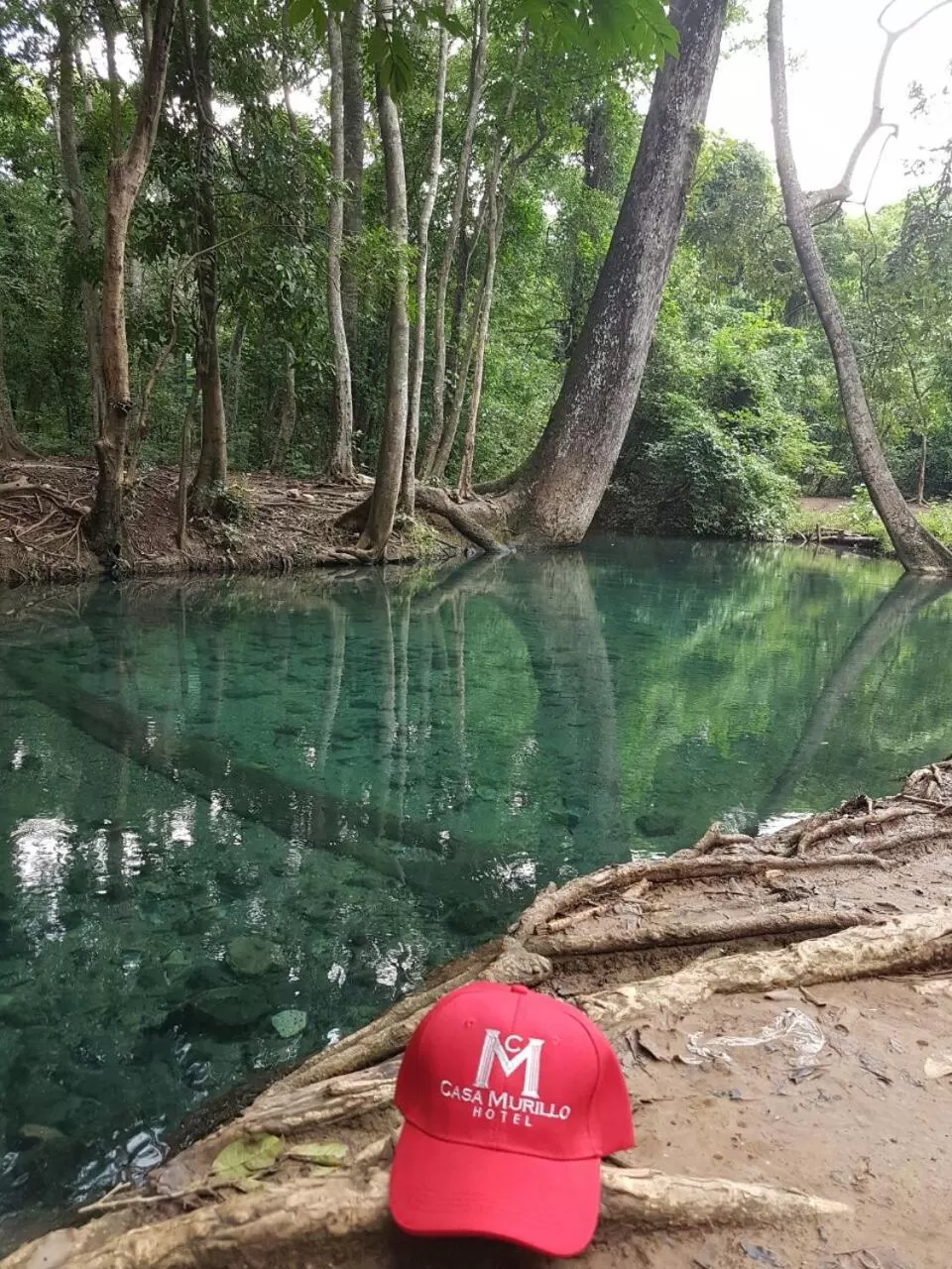 Activities in Casa Murillo Hotel