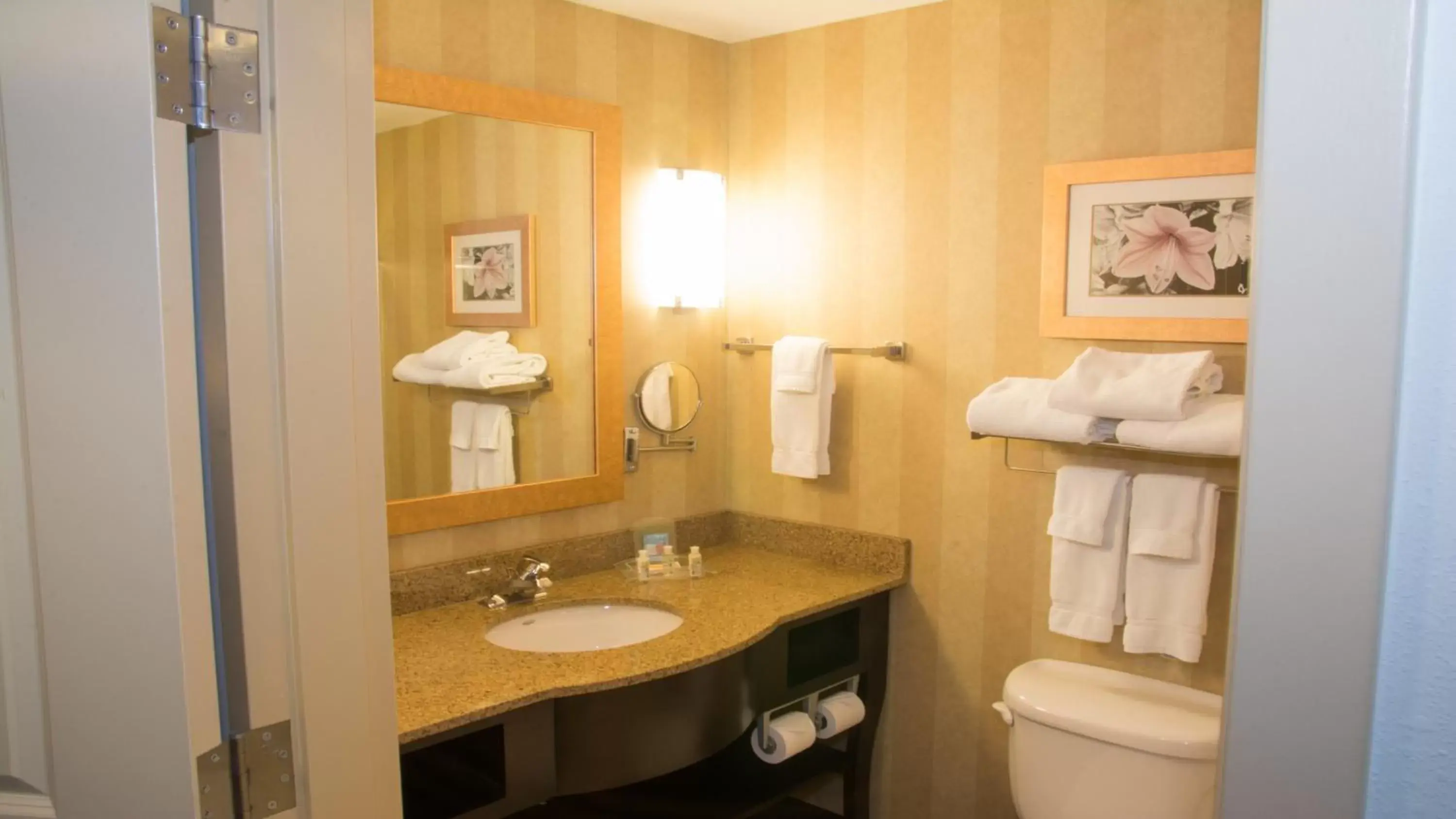 Photo of the whole room, Bathroom in Holiday Inn Saint Louis-Fairview Heights, an IHG Hotel