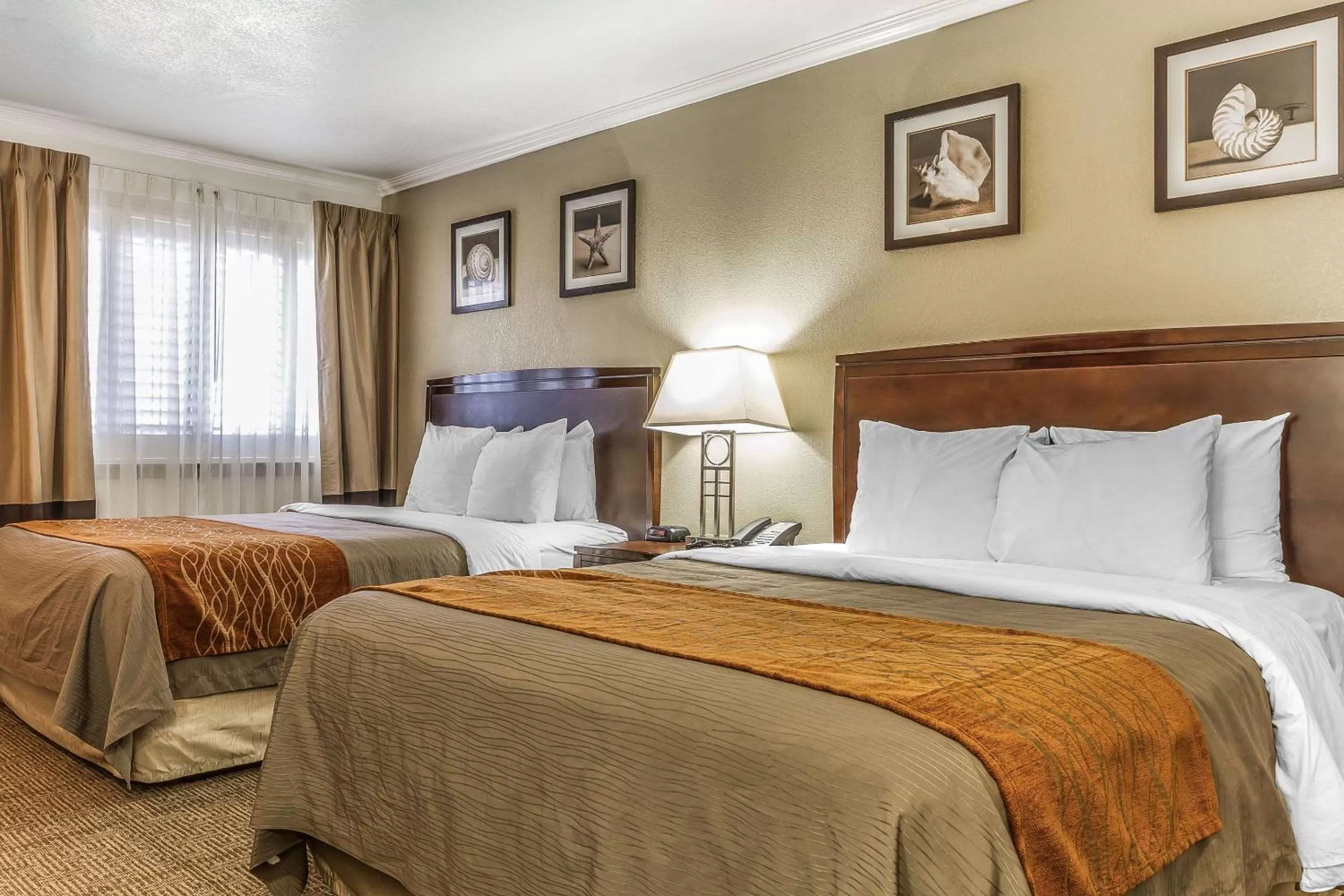 Photo of the whole room, Bed in Comfort Inn