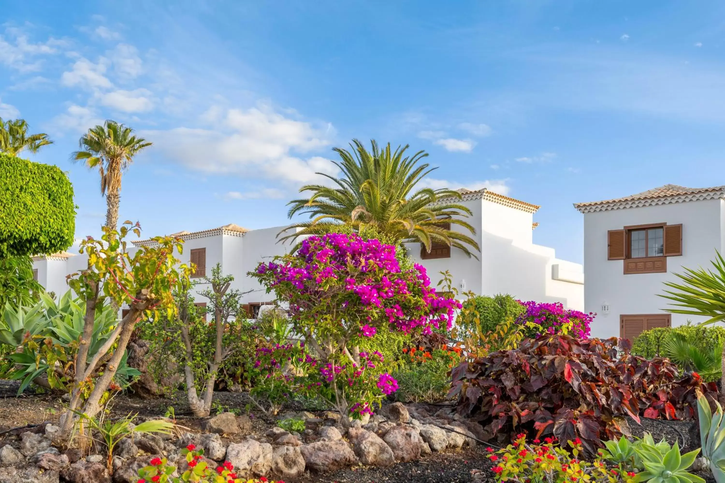 Garden, Property Building in Royal Tenerife Country Club