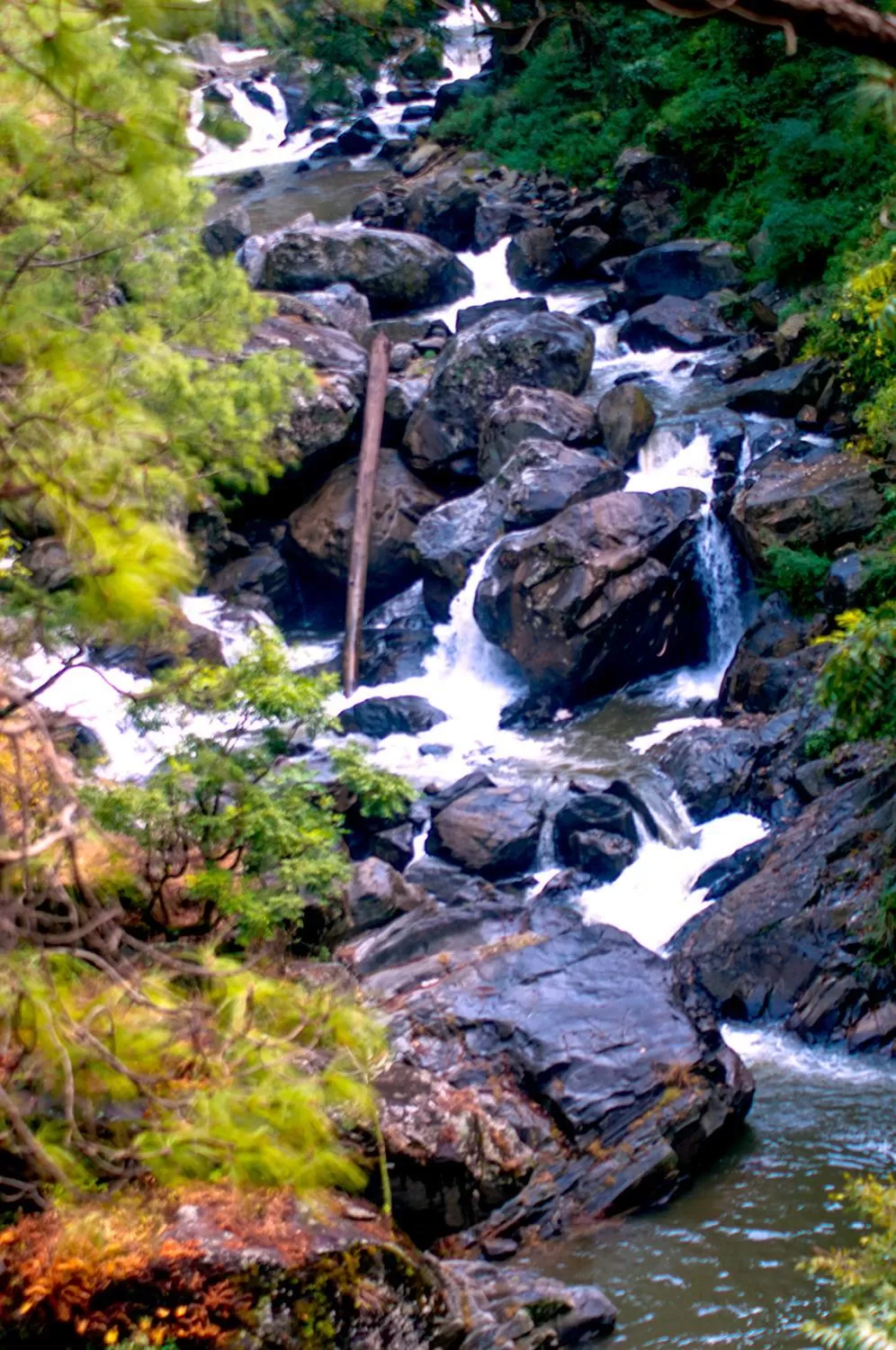 Natural Landscape in DreamCatcher Boutique Hotels