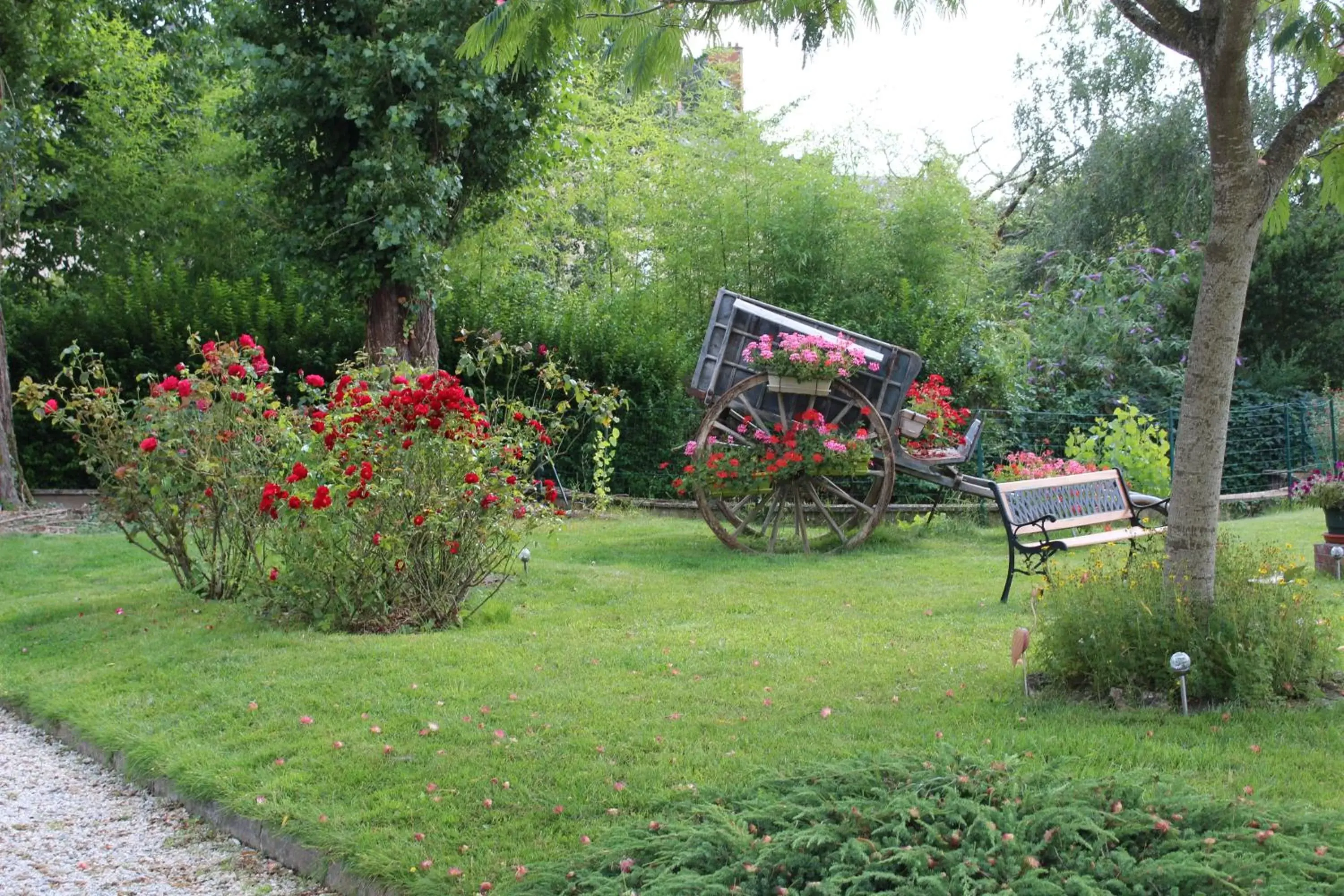 Garden in Hotel des Ducs