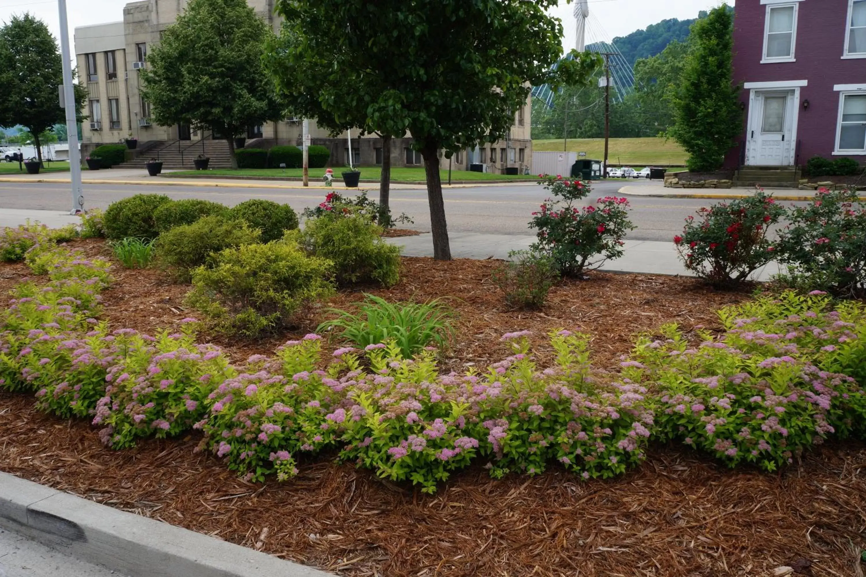 Other, Garden in Holiday Inn Portsmouth Downtown, an IHG Hotel