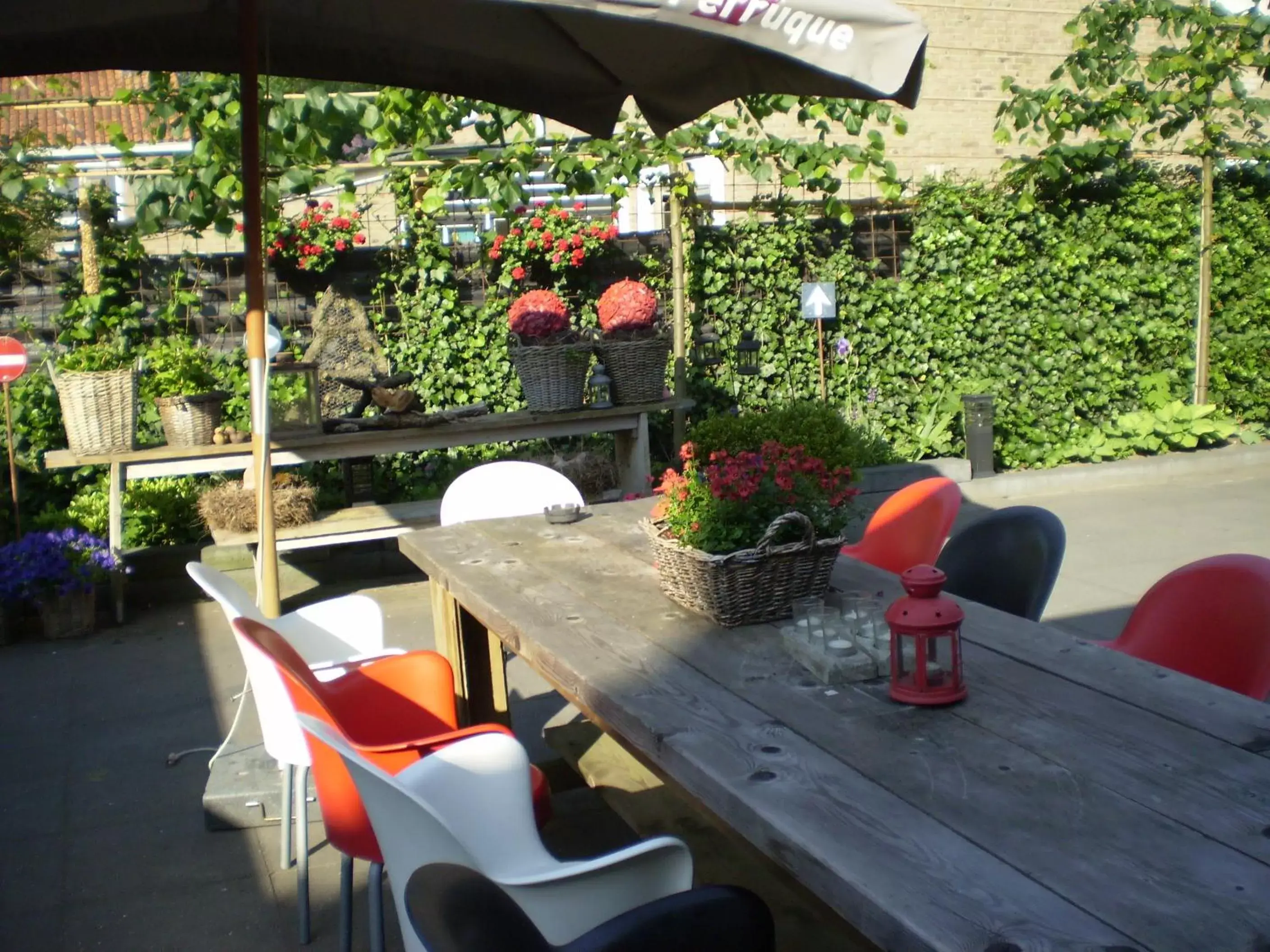 Balcony/Terrace in B&B - Pension Perruque