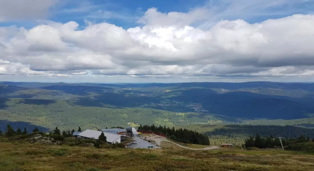 Natural Landscape in Hotel Sonnleitn