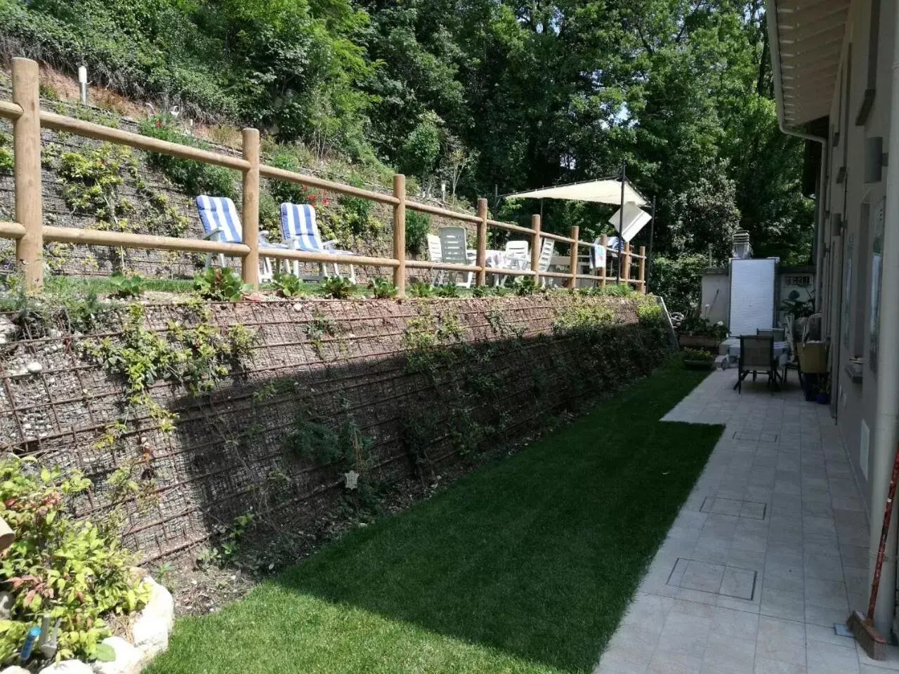 Patio, Garden in Mimosa Apartments