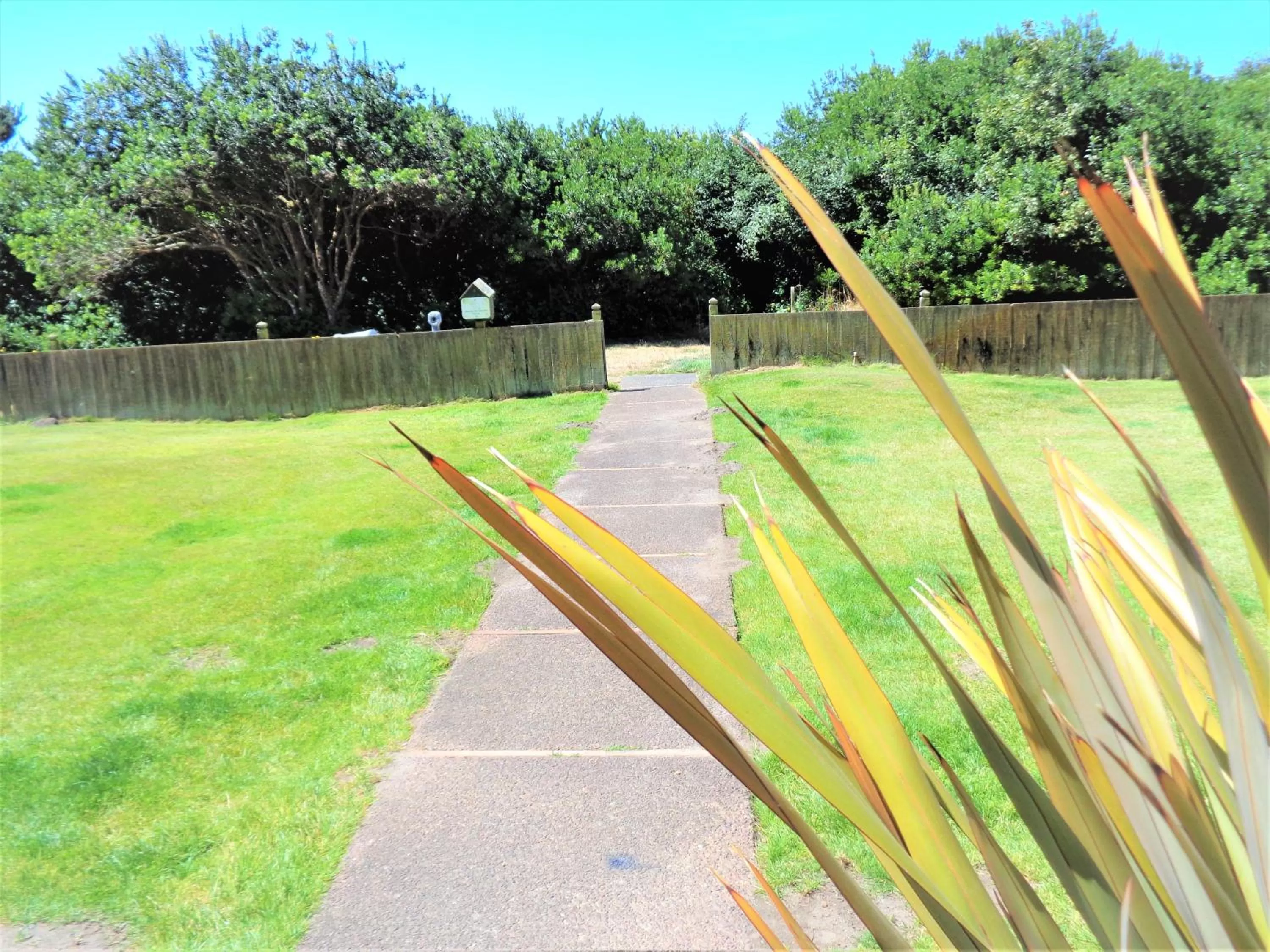 Property building in The Polynesian Resort