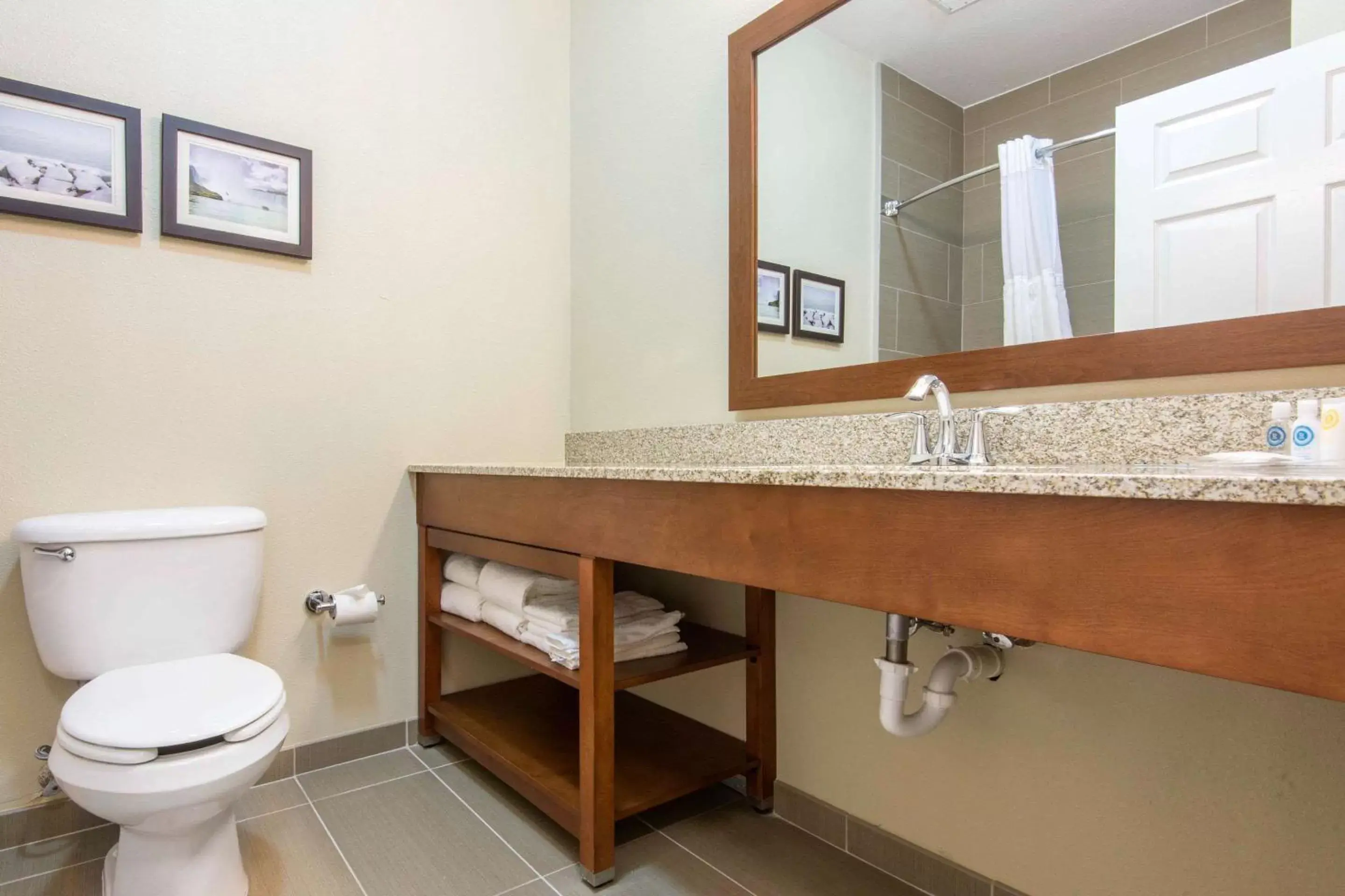Bathroom in Comfort Suites Rochester Henrietta University Area