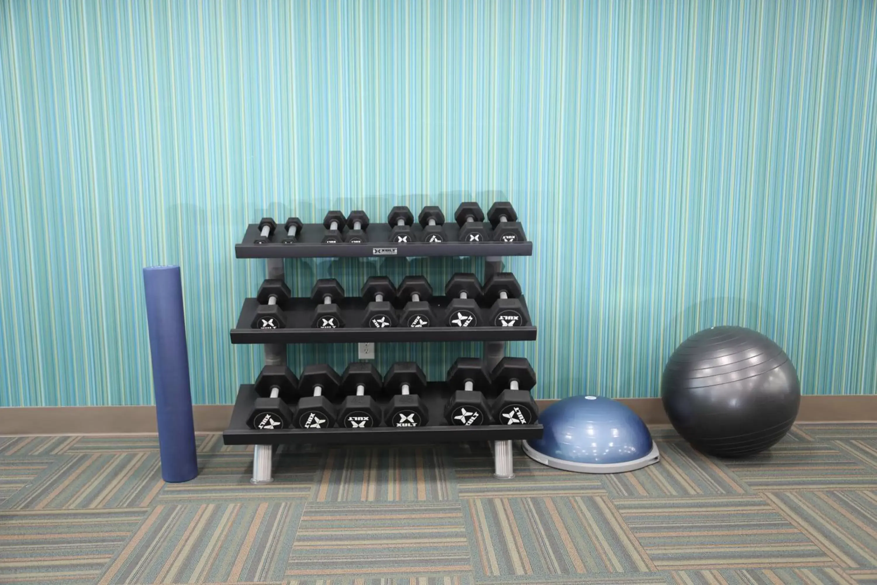 Fitness centre/facilities, Fitness Center/Facilities in Holiday Inn Express & Suites - Wylie West, an IHG Hotel