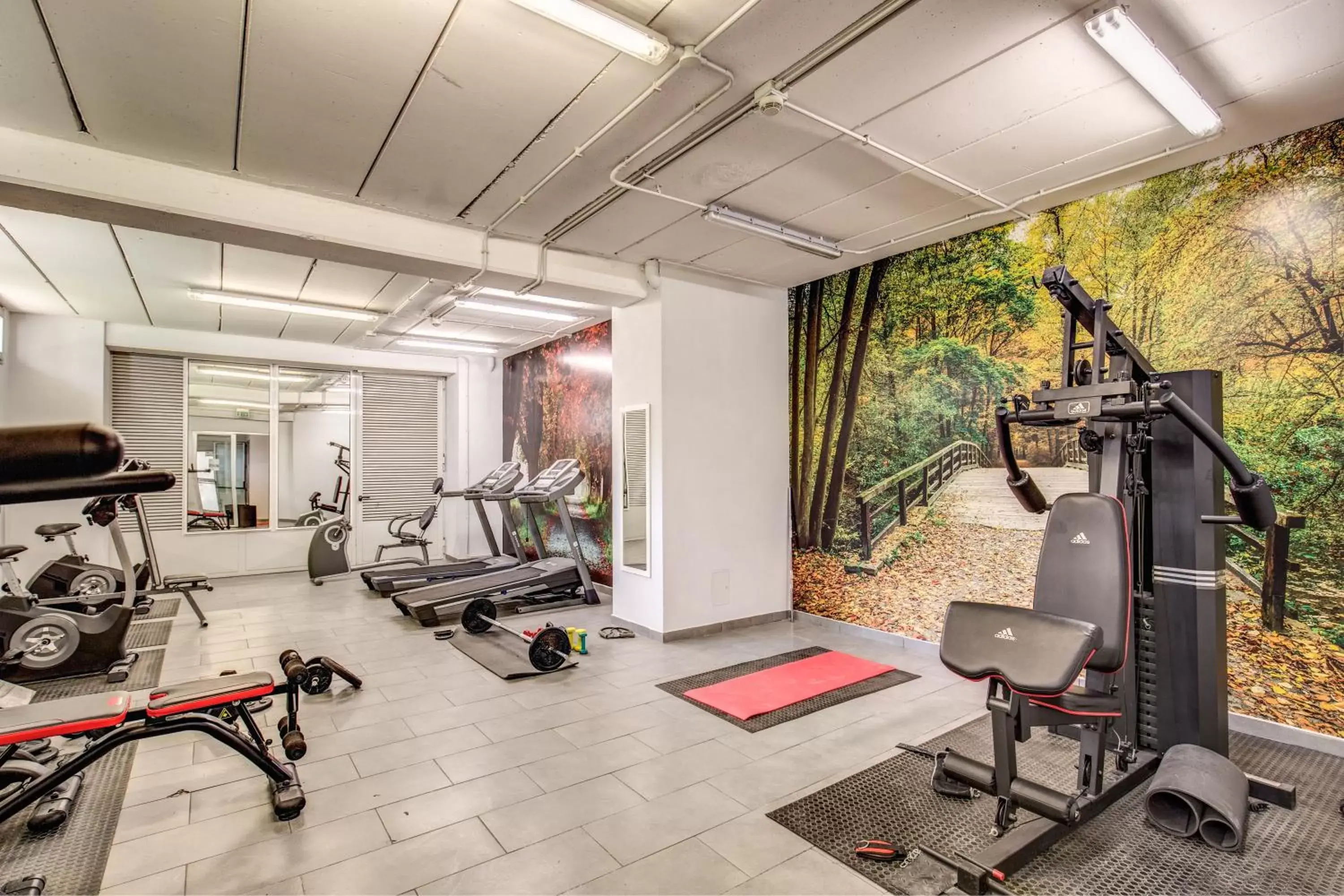 Fitness centre/facilities, Fitness Center/Facilities in Ginevra Palace Hotel