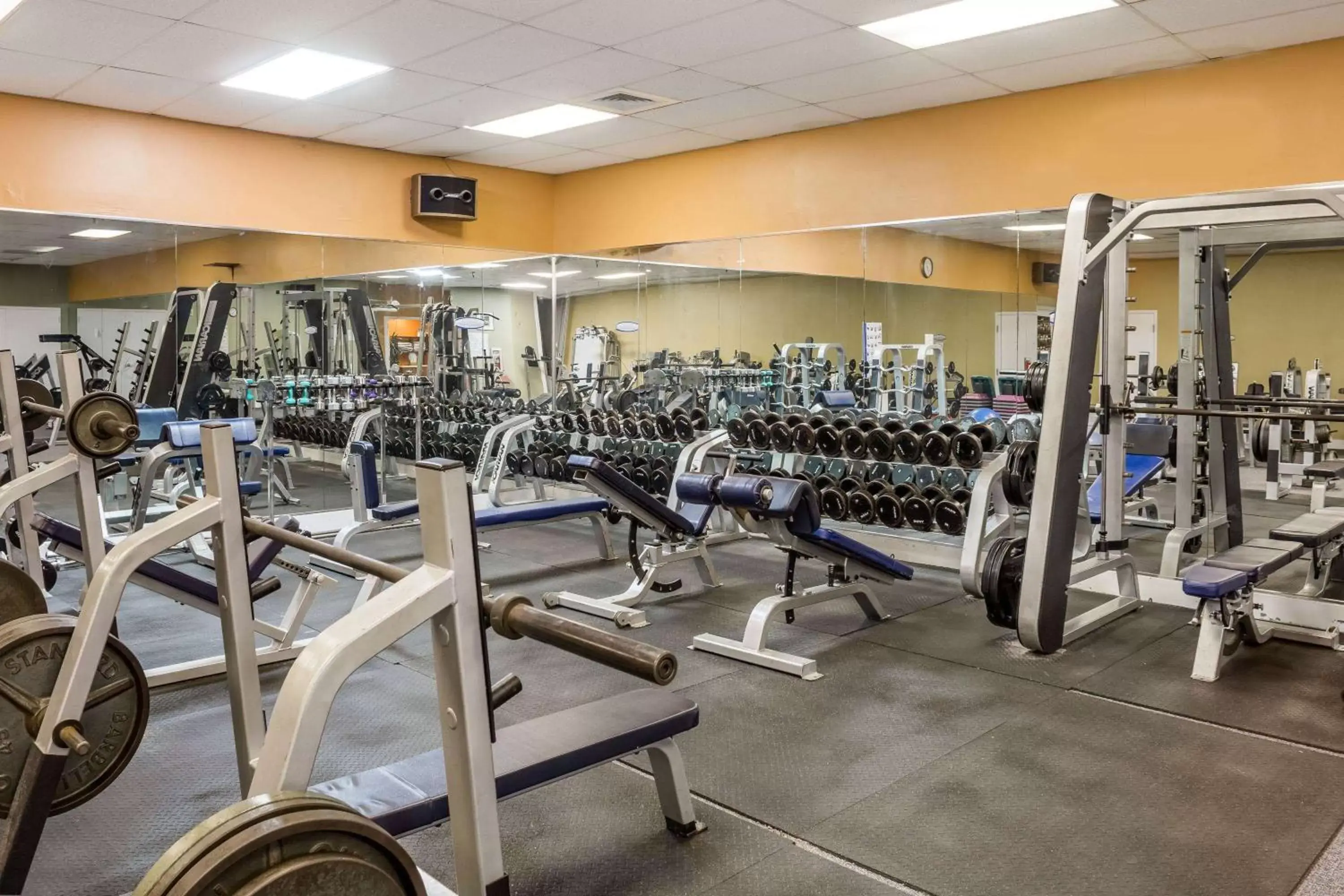 Fitness Center/Facilities in Safety Harbor Resort & Spa Trademark Collection by Wyndham