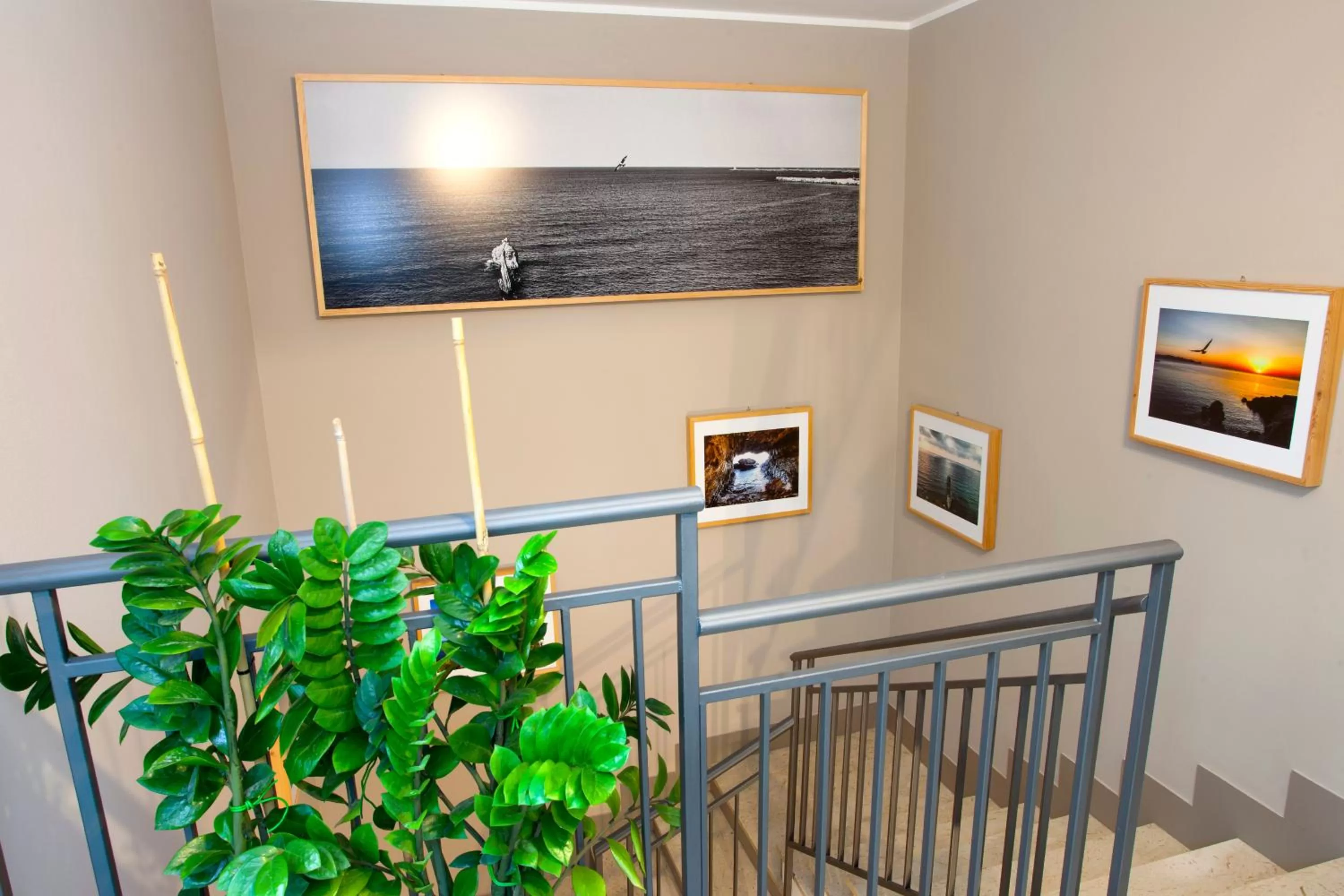 Balcony/Terrace in TerraSole Bakery B&B