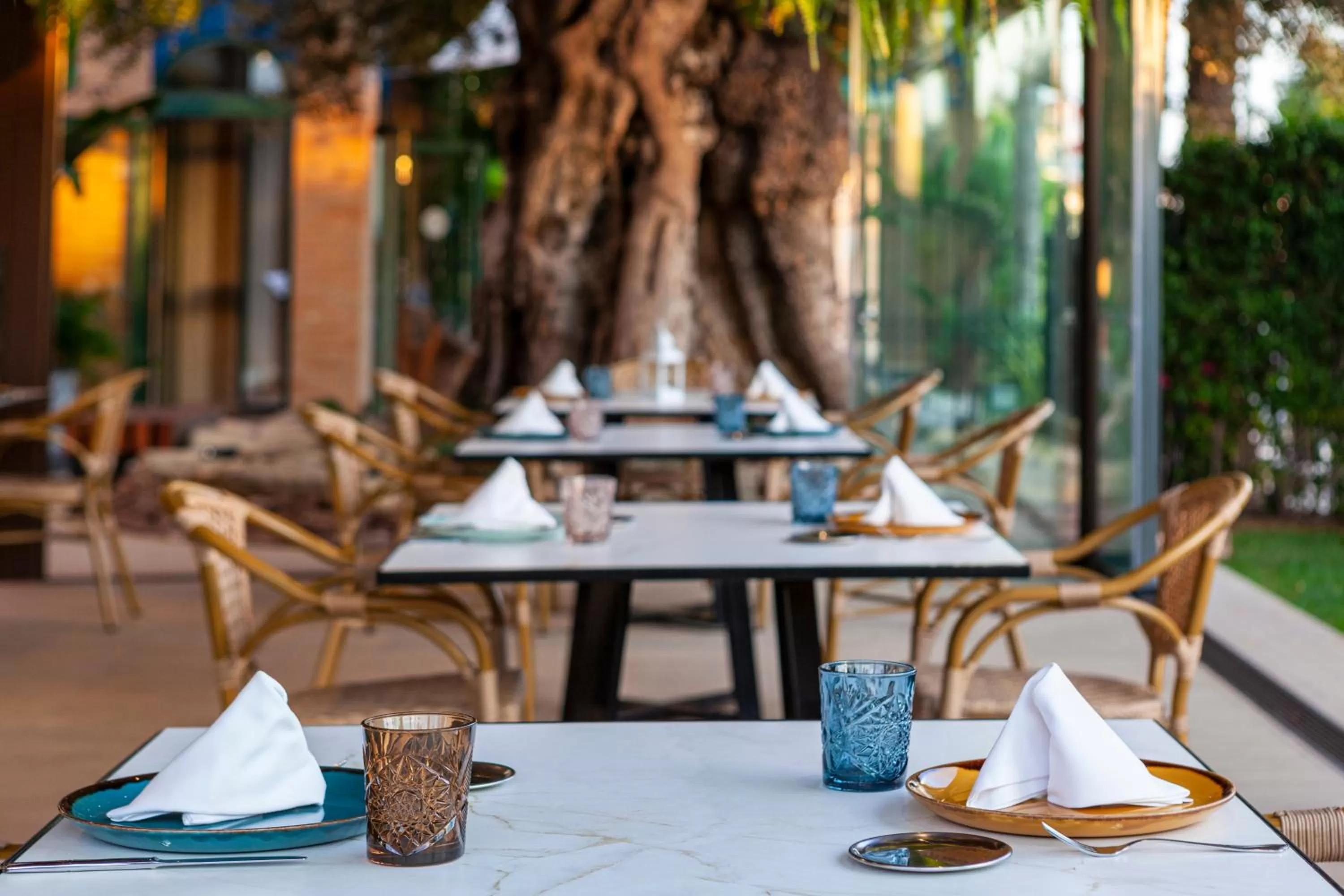 Restaurant/places to eat in Hotel La Laguna Spa & Golf