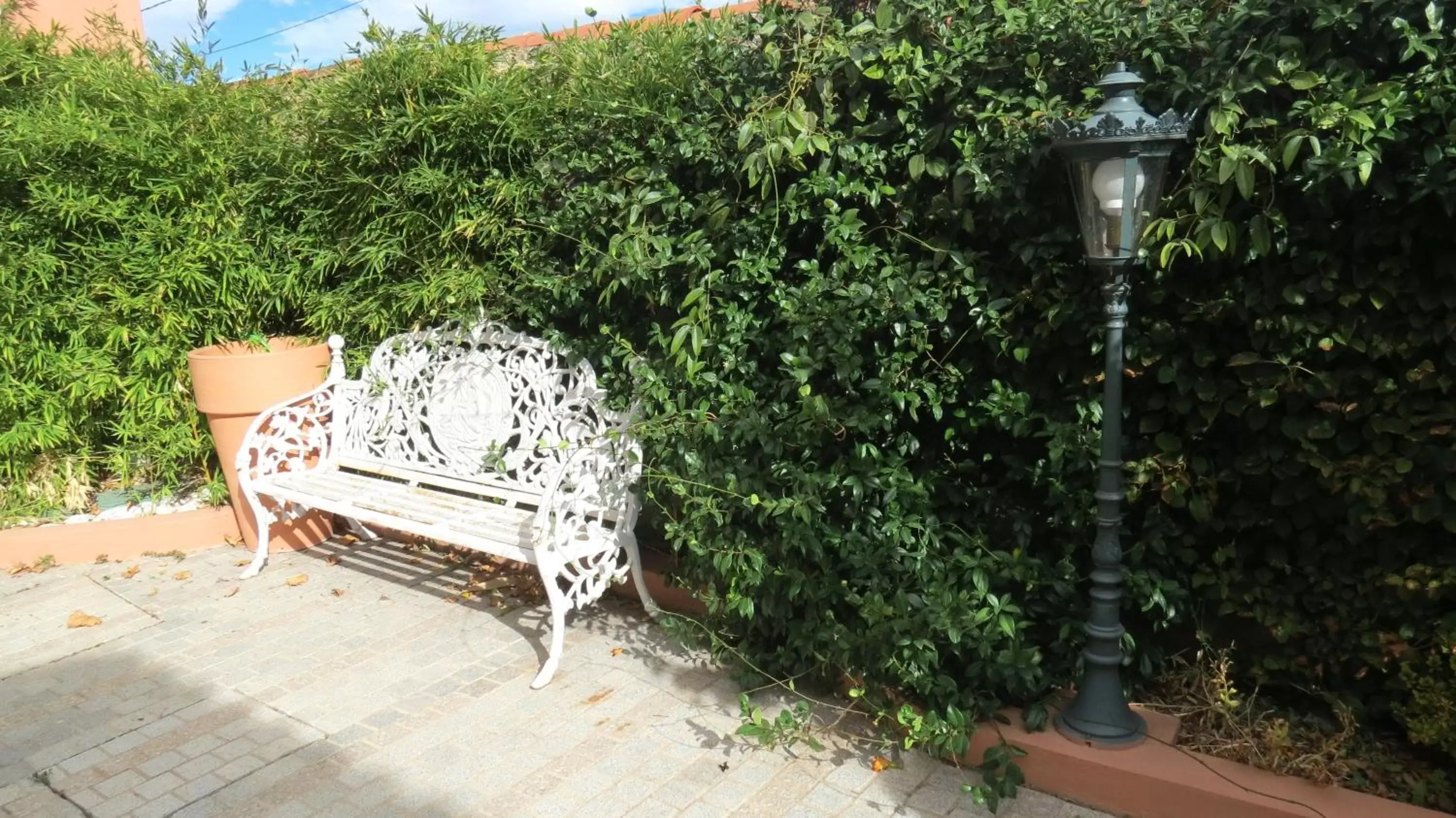 Garden, Patio/Outdoor Area in Le Mas du Lingousto