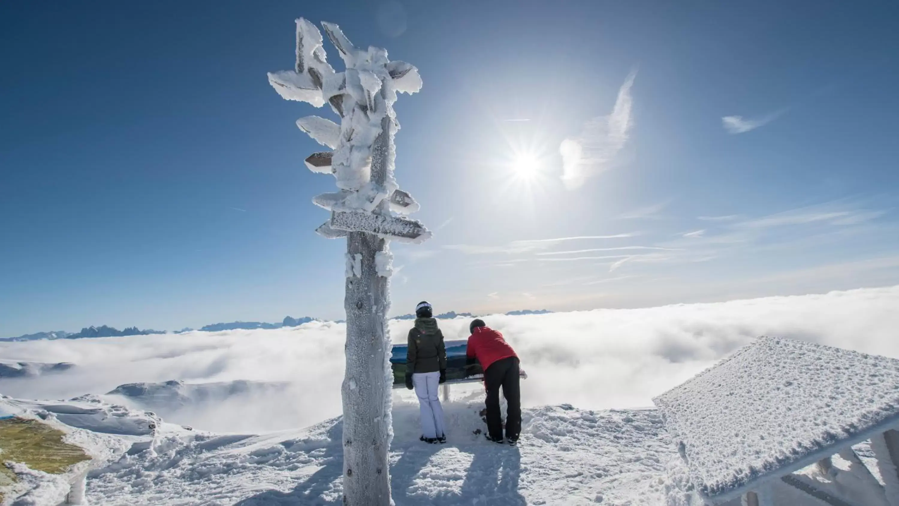 Skiing, Winter in Hotel Gasthof Höllriegl