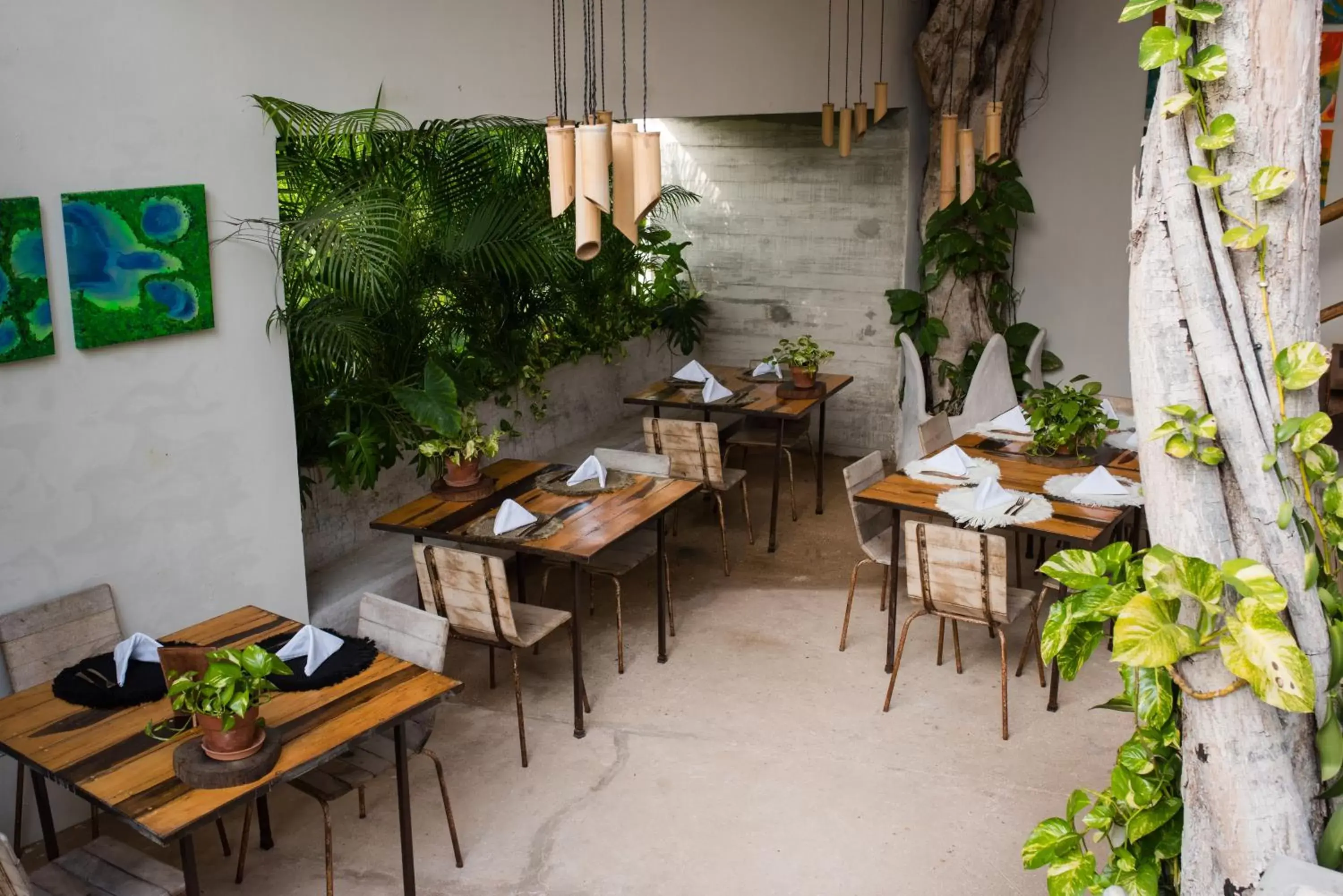 Restaurant/Places to Eat in Orchid House Tulum