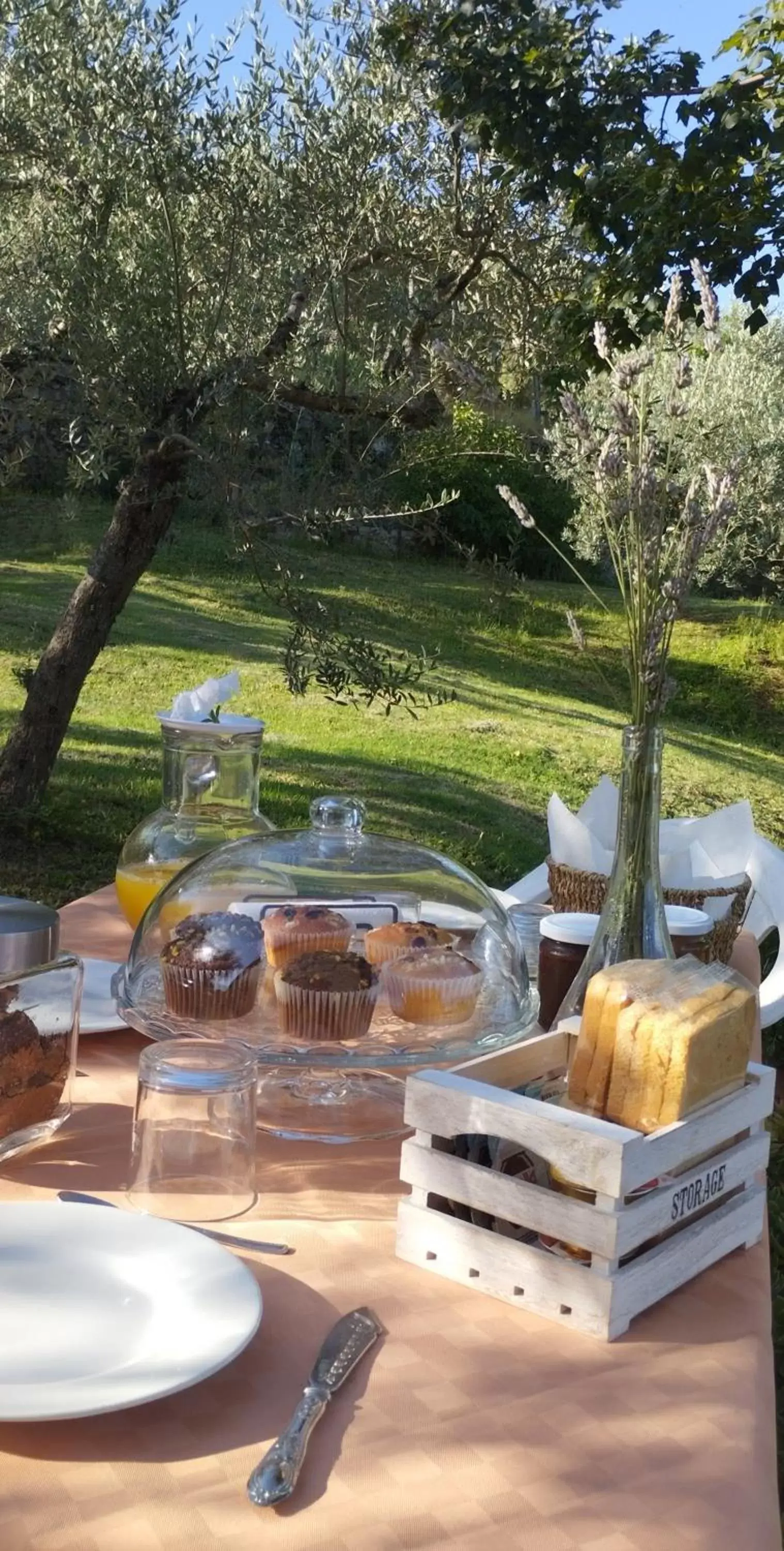 Breakfast in La Casa tra Gli Ulivi Cottage House