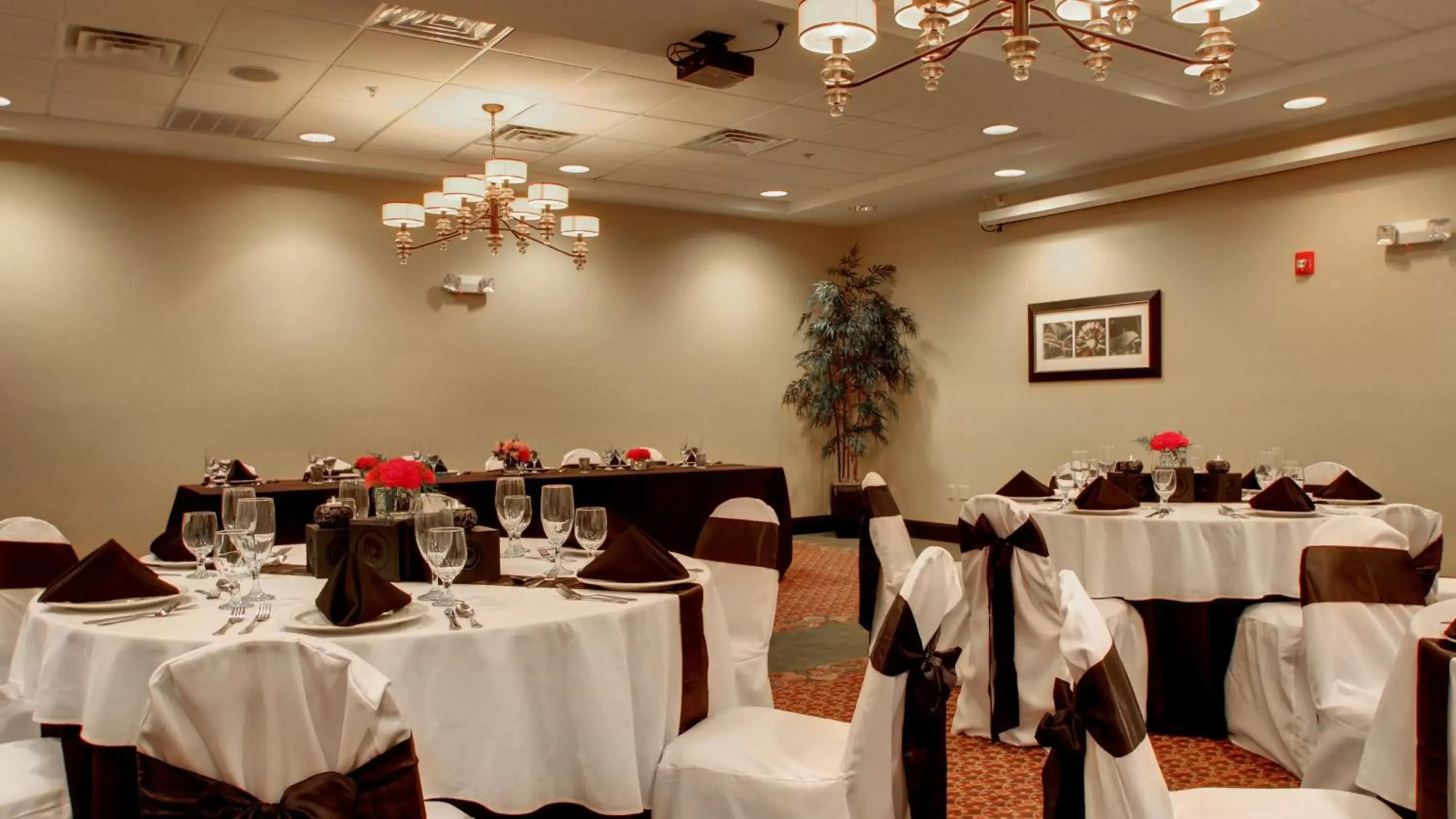 Banquet/Function facilities, Restaurant/Places to Eat in Holiday Inn Meridian East I 59 / I 20