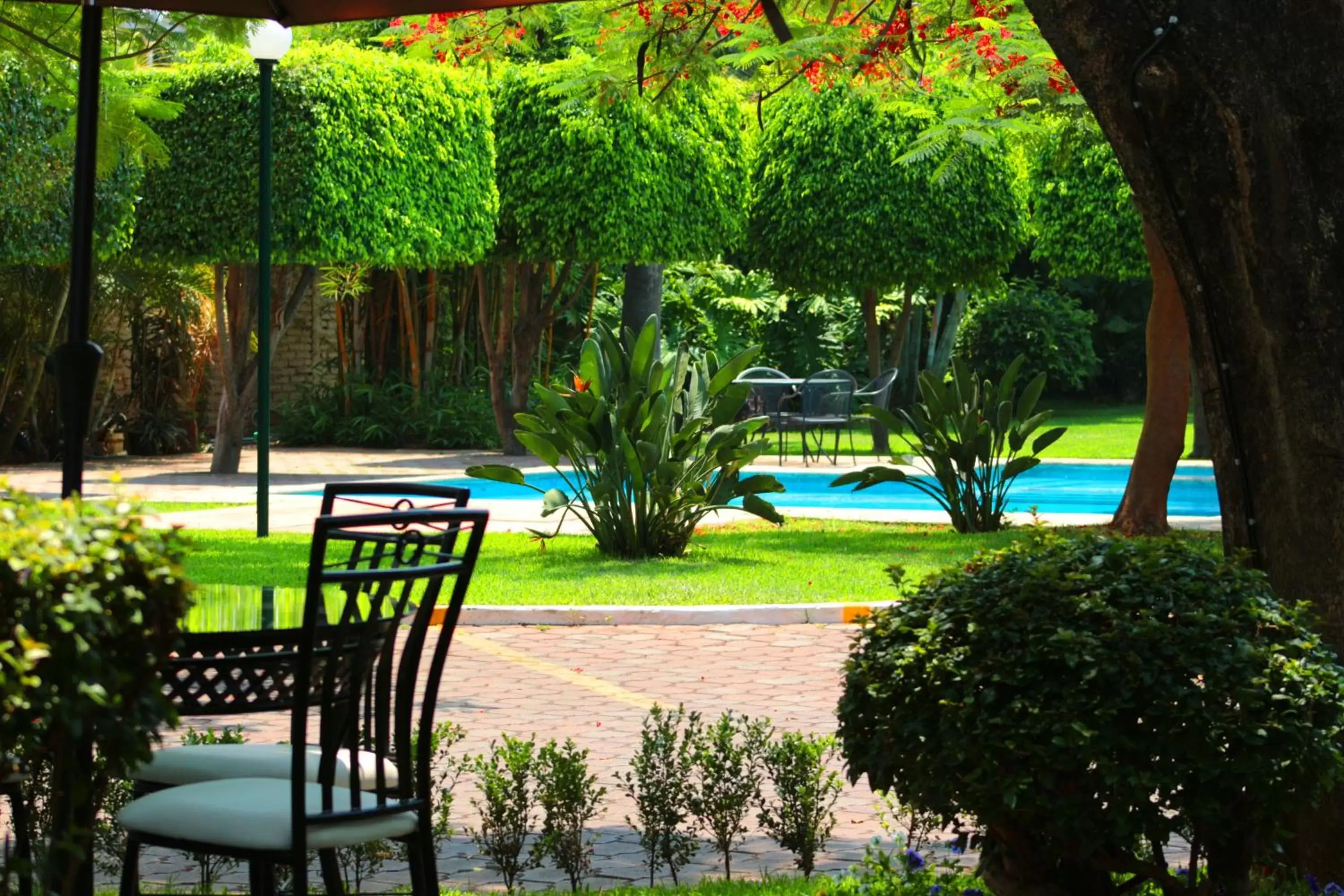 Swimming pool, Patio/Outdoor Area in Meson del Valle