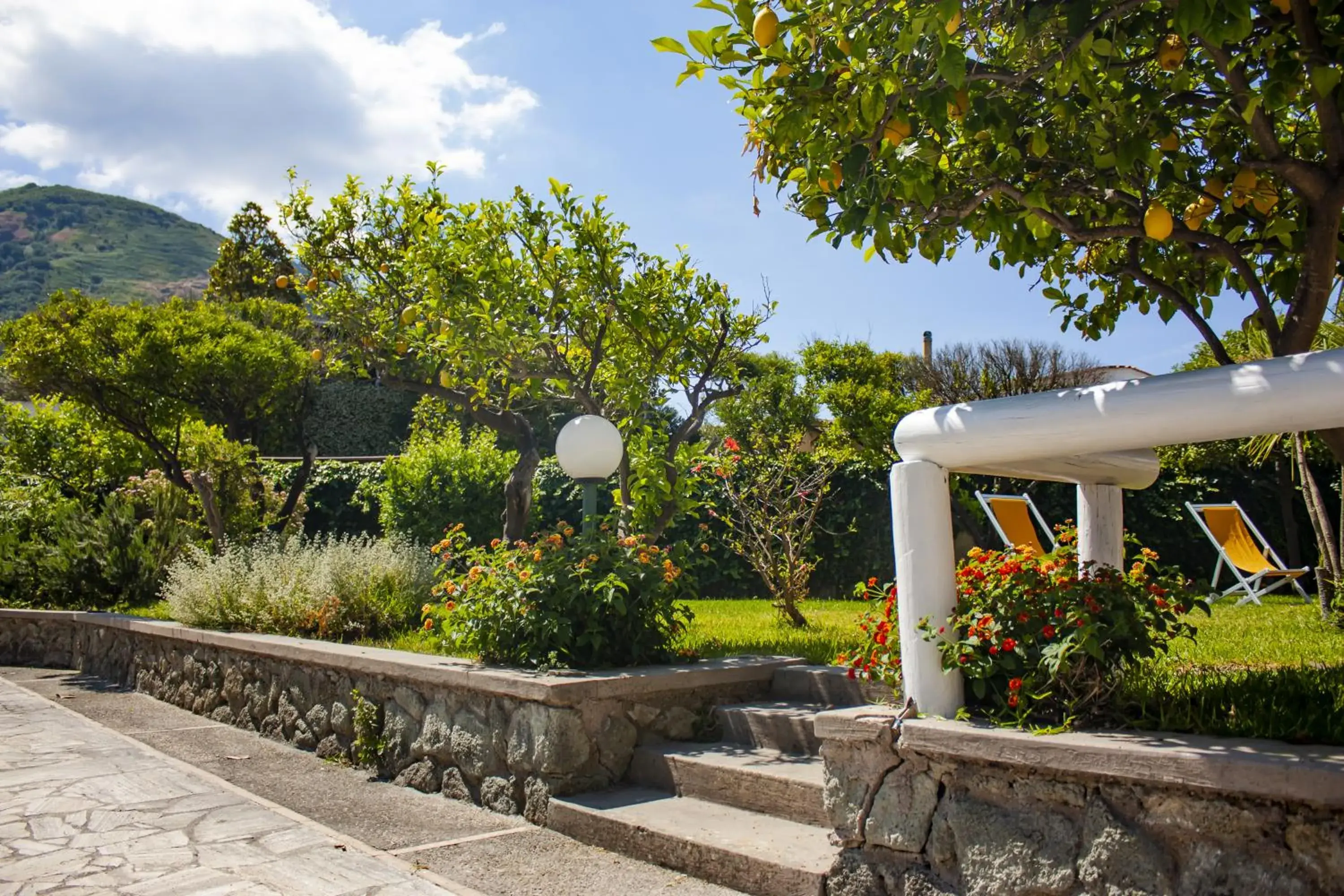 Garden in Hotel Parco Delle Agavi