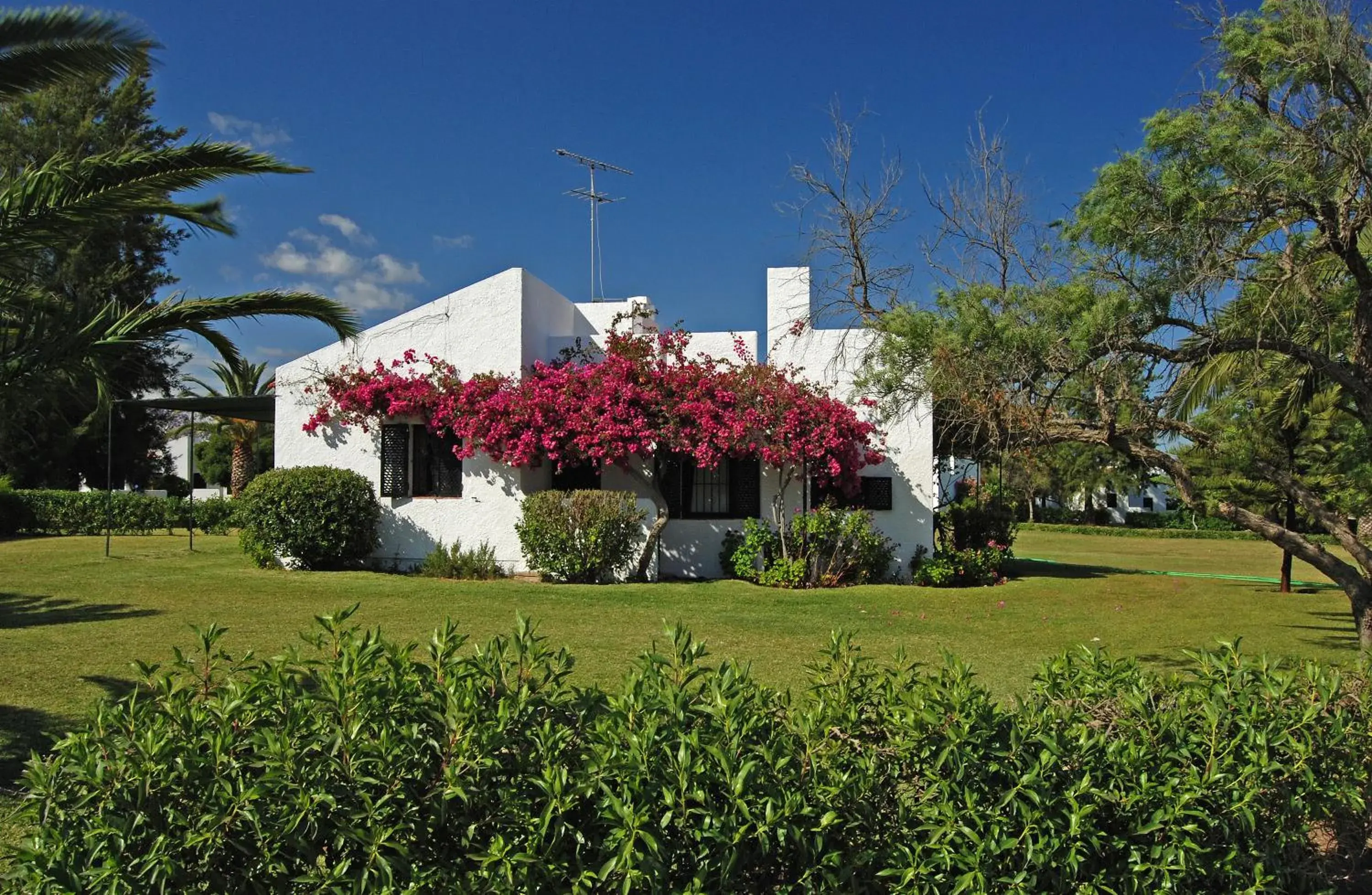 Facade/entrance, Property Building in Pedras Da Rainha