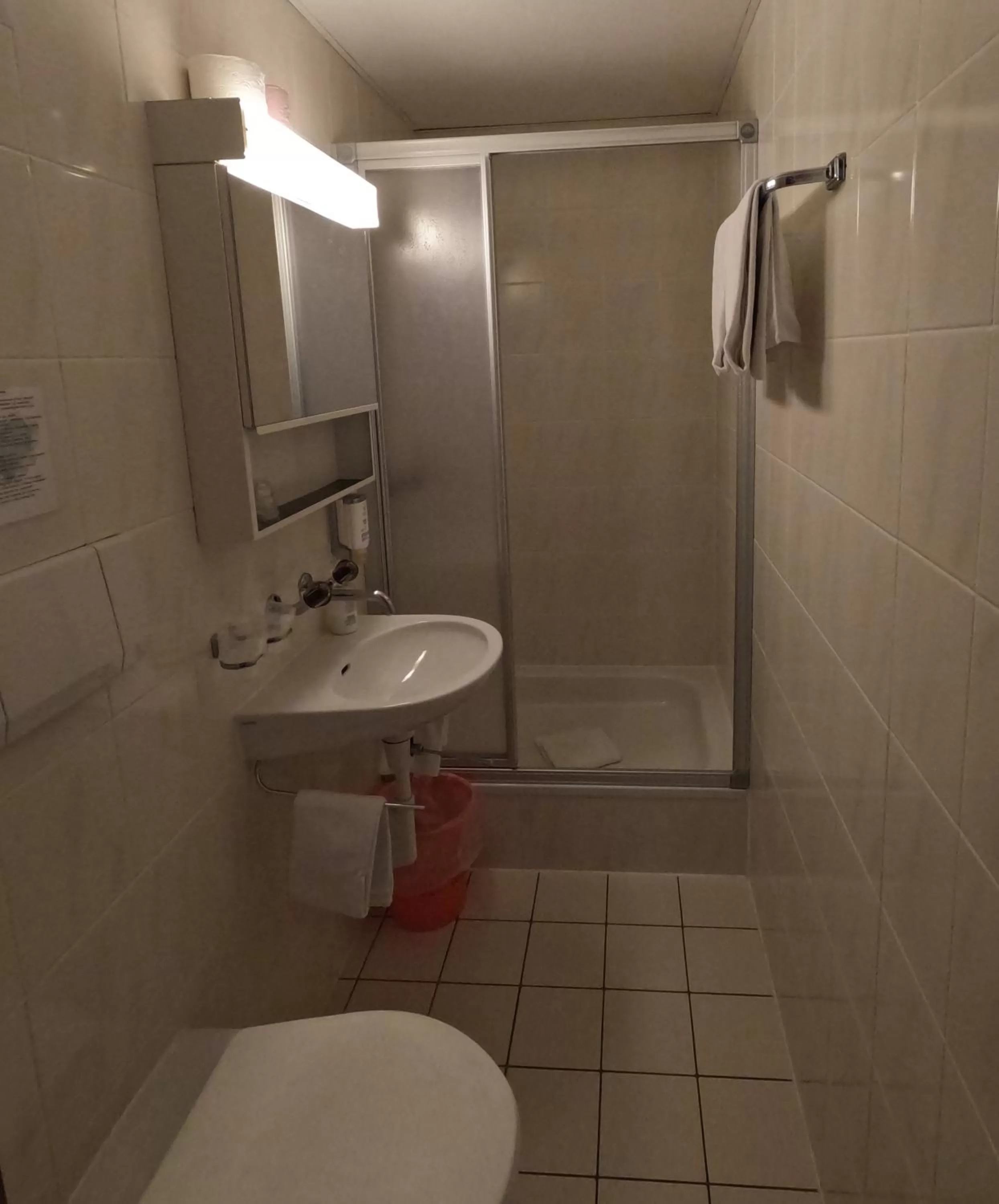 Toilet in Alpenrose Hotel and Gardens