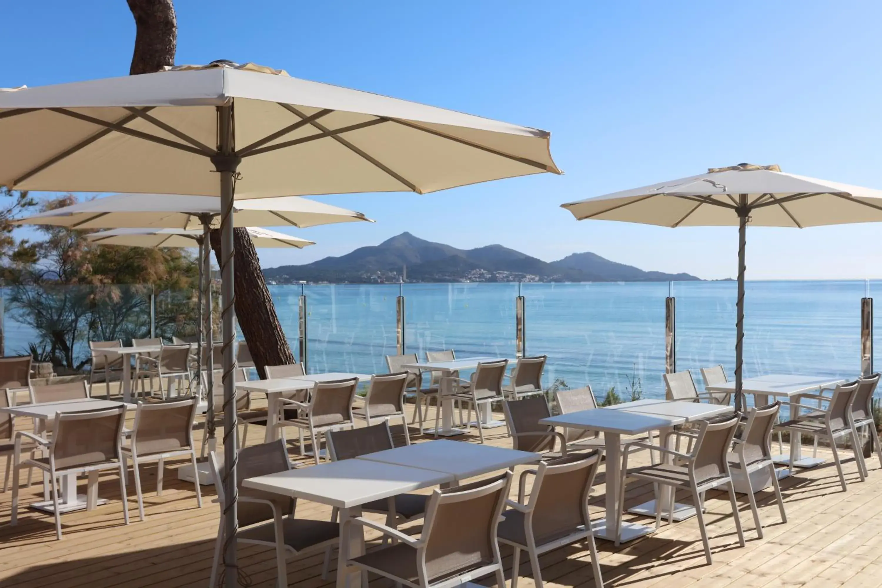 Restaurant/Places to Eat in Iberostar Playa de Muro