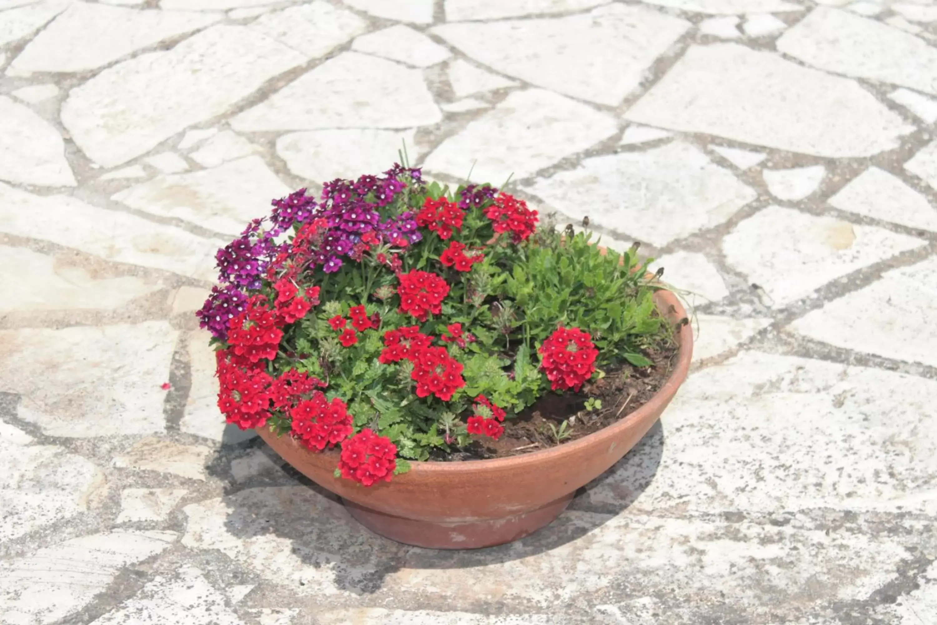 Garden in Tenuta Turchi