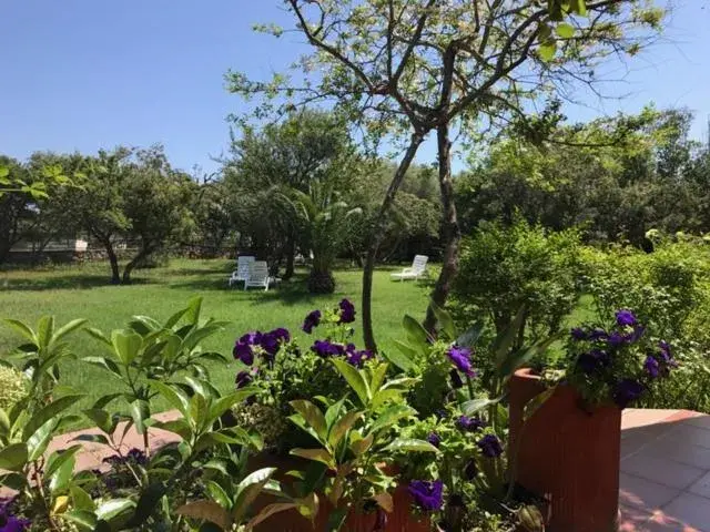 Garden in Hotel Onda Marina