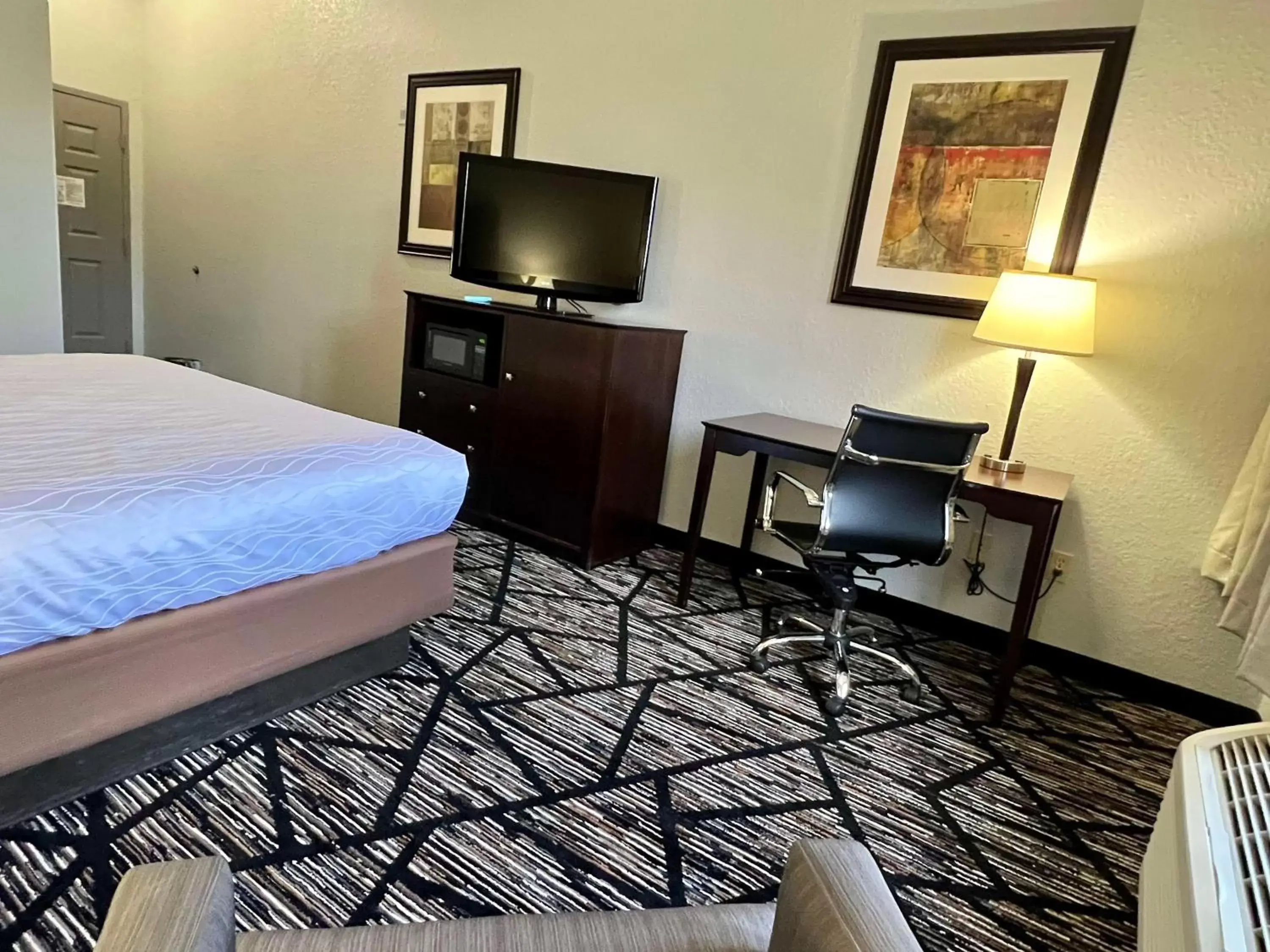 Bedroom, TV/Entertainment Center in Best Western PLUS Hobby Airport Inn and Suites