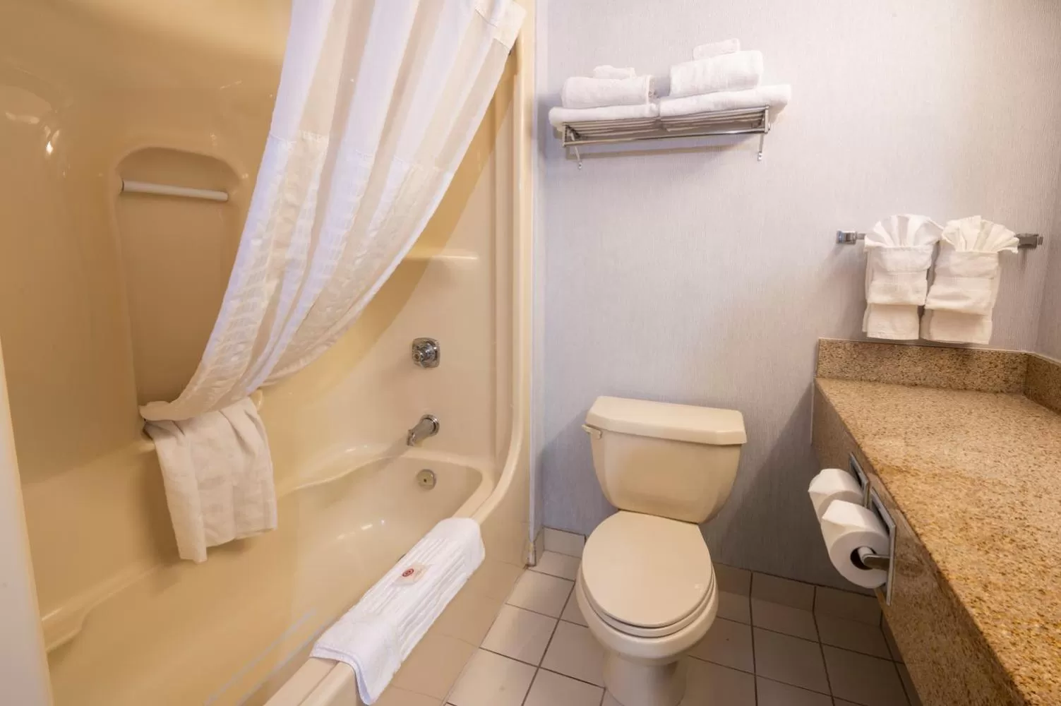 Toilet in Comfort Hotel & Suites