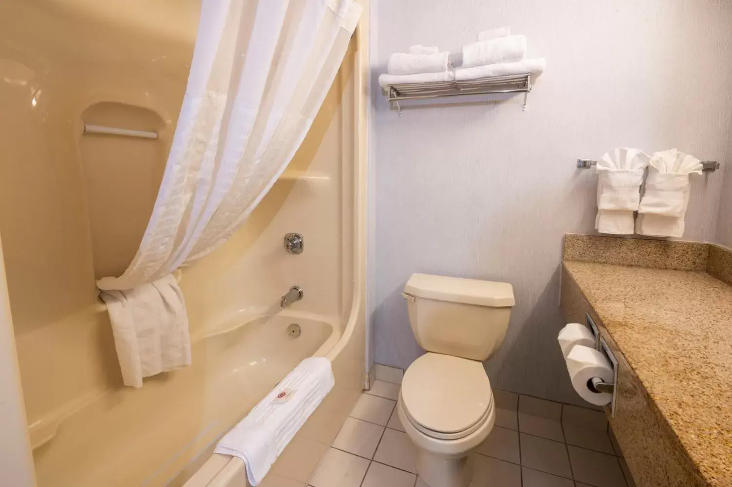 Toilet, Bathroom in Comfort Hotel & Suites Peterborough