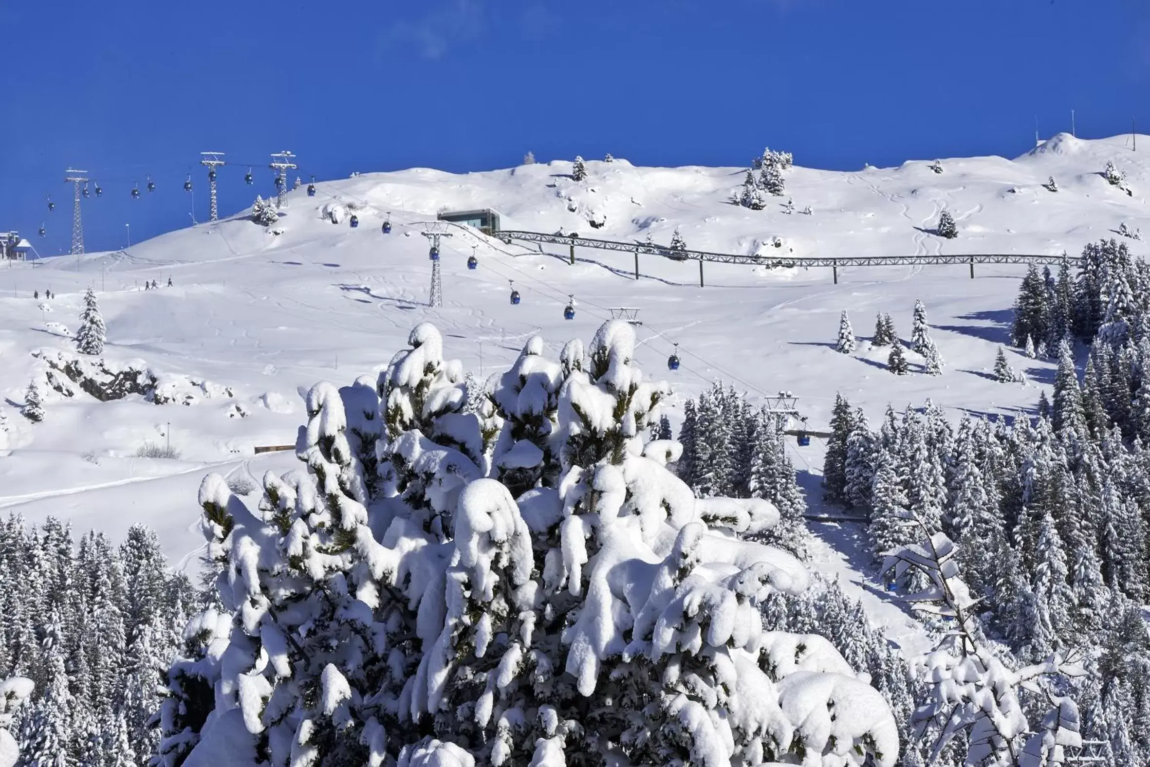 Skiing, Winter in Hotel Stoffel - adults only