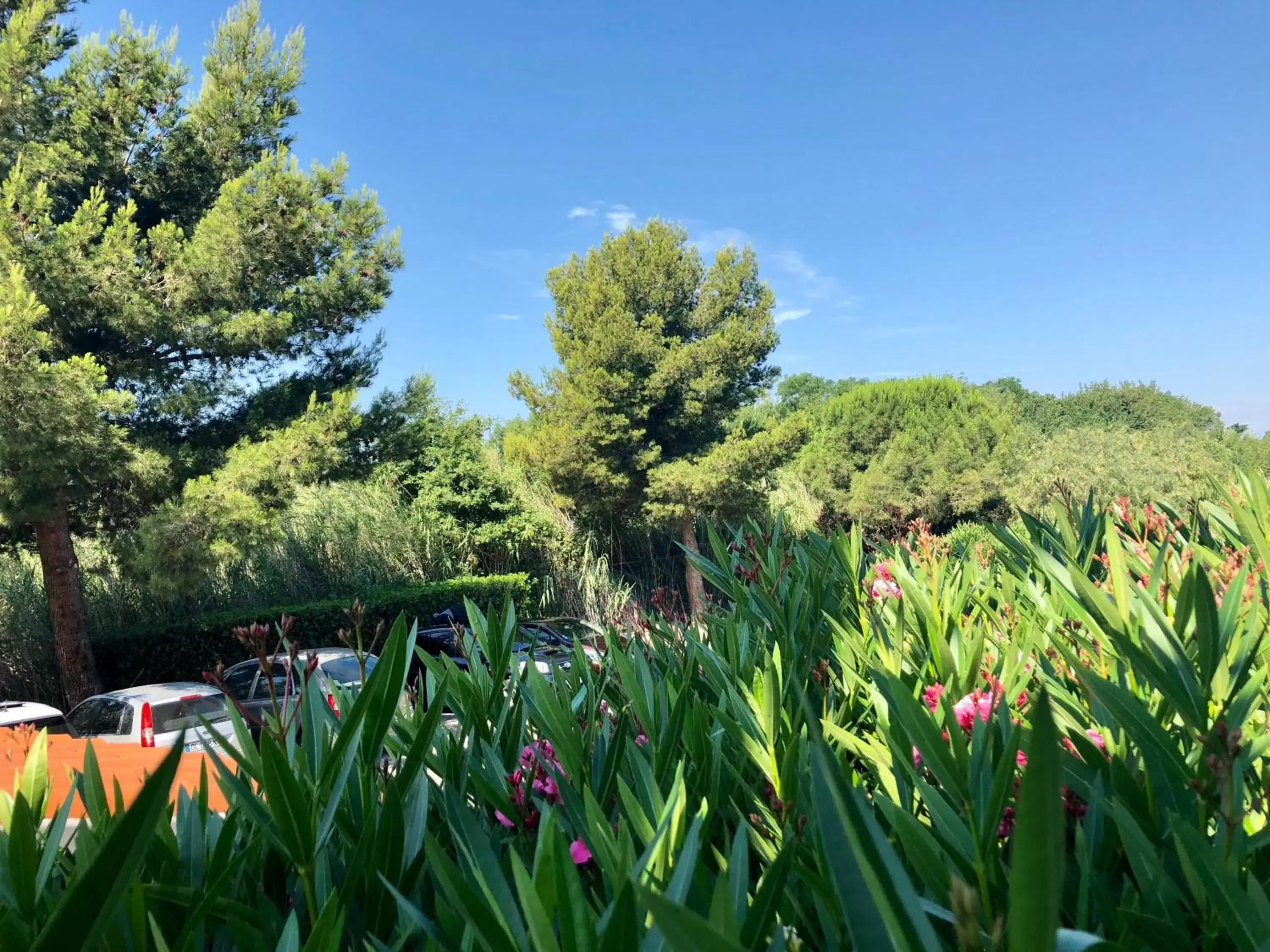 Garden view in Premiere Classe Perpignan Sud