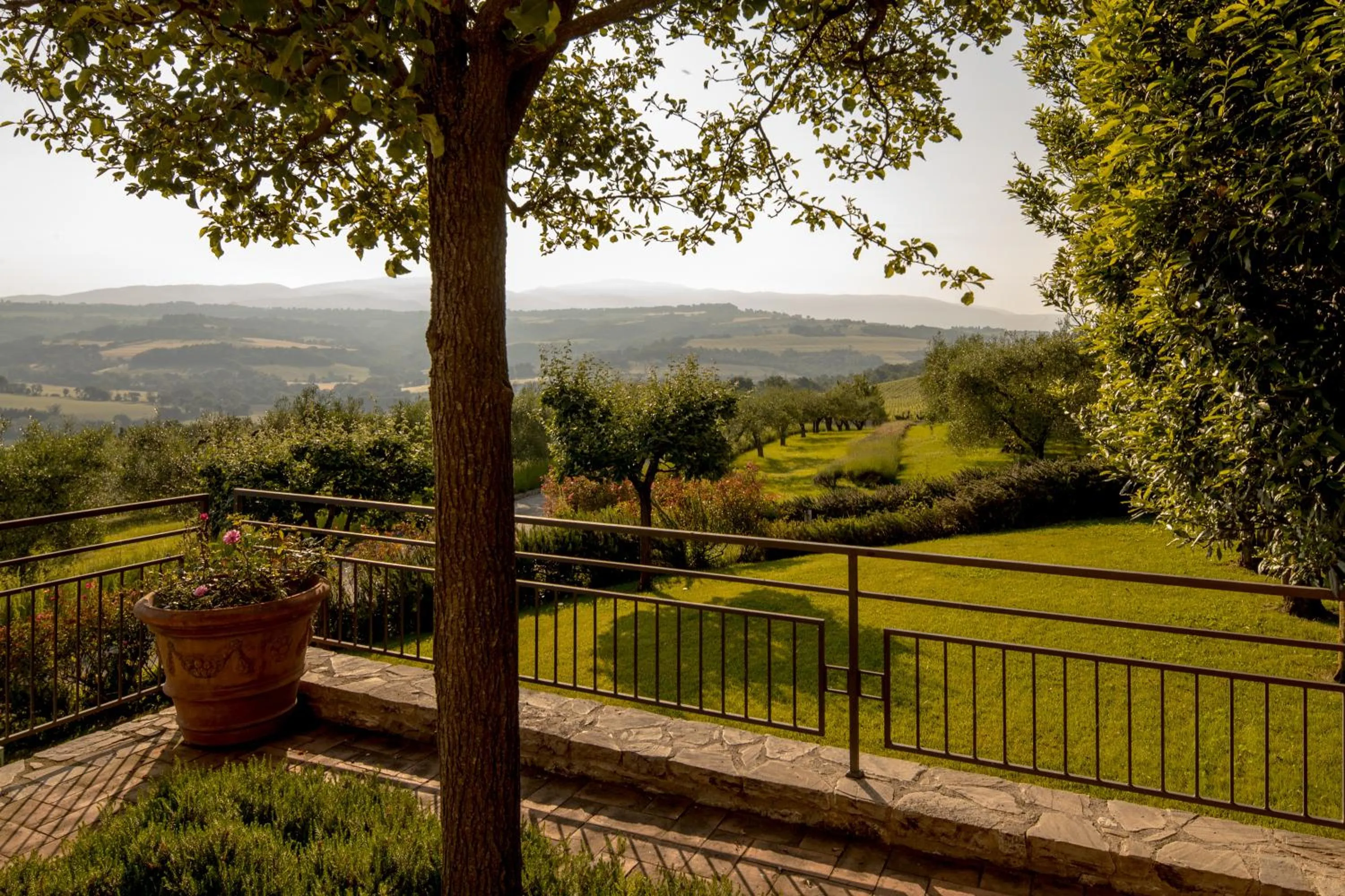 Natural landscape in Roccafiore Wine Resort & Spa