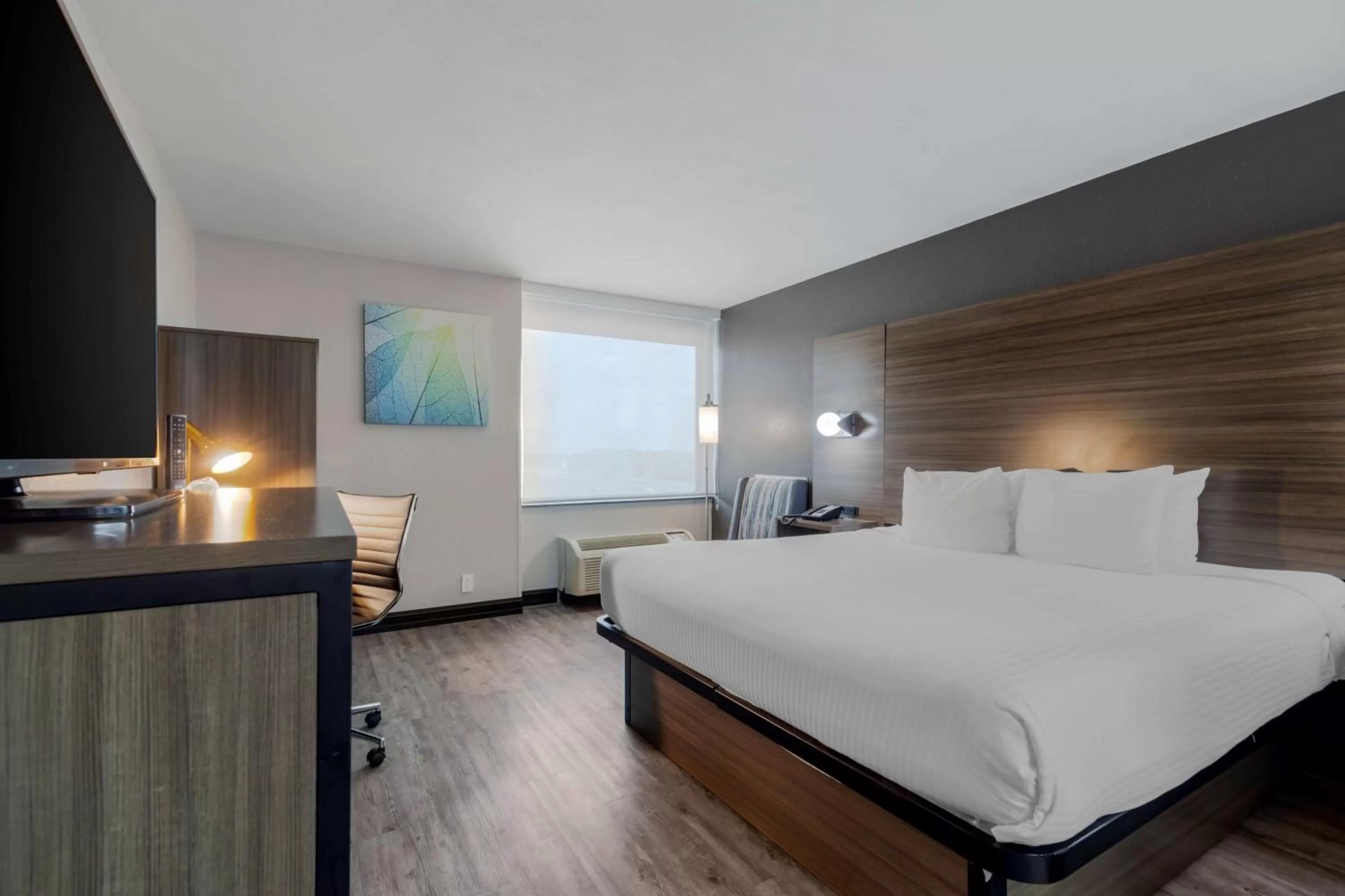 Bedroom, Bed in Best Western Corpus Christi Airport Hotel