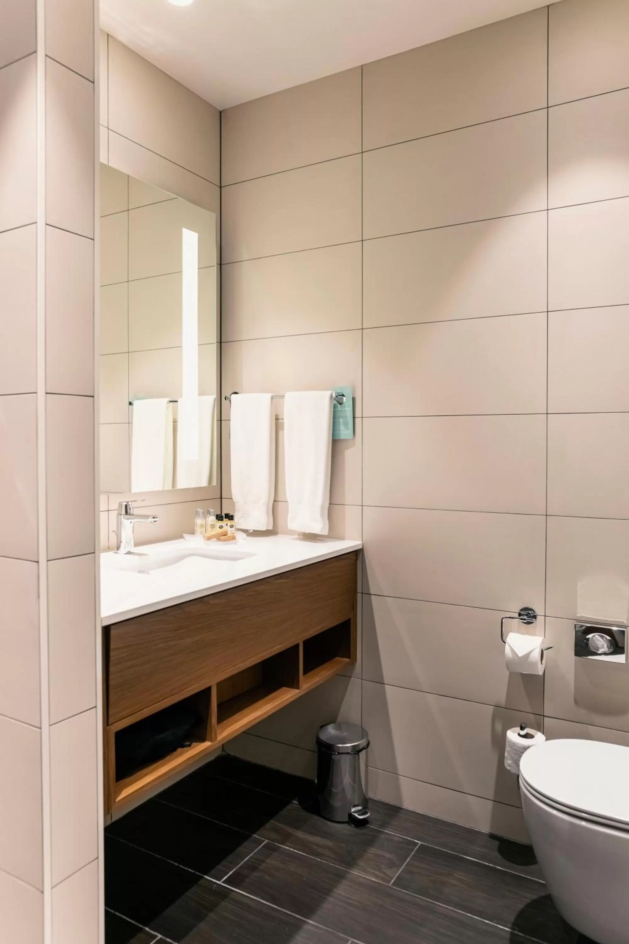 Bathroom in Hilton Garden Inn Tbilisi Chavchavadze