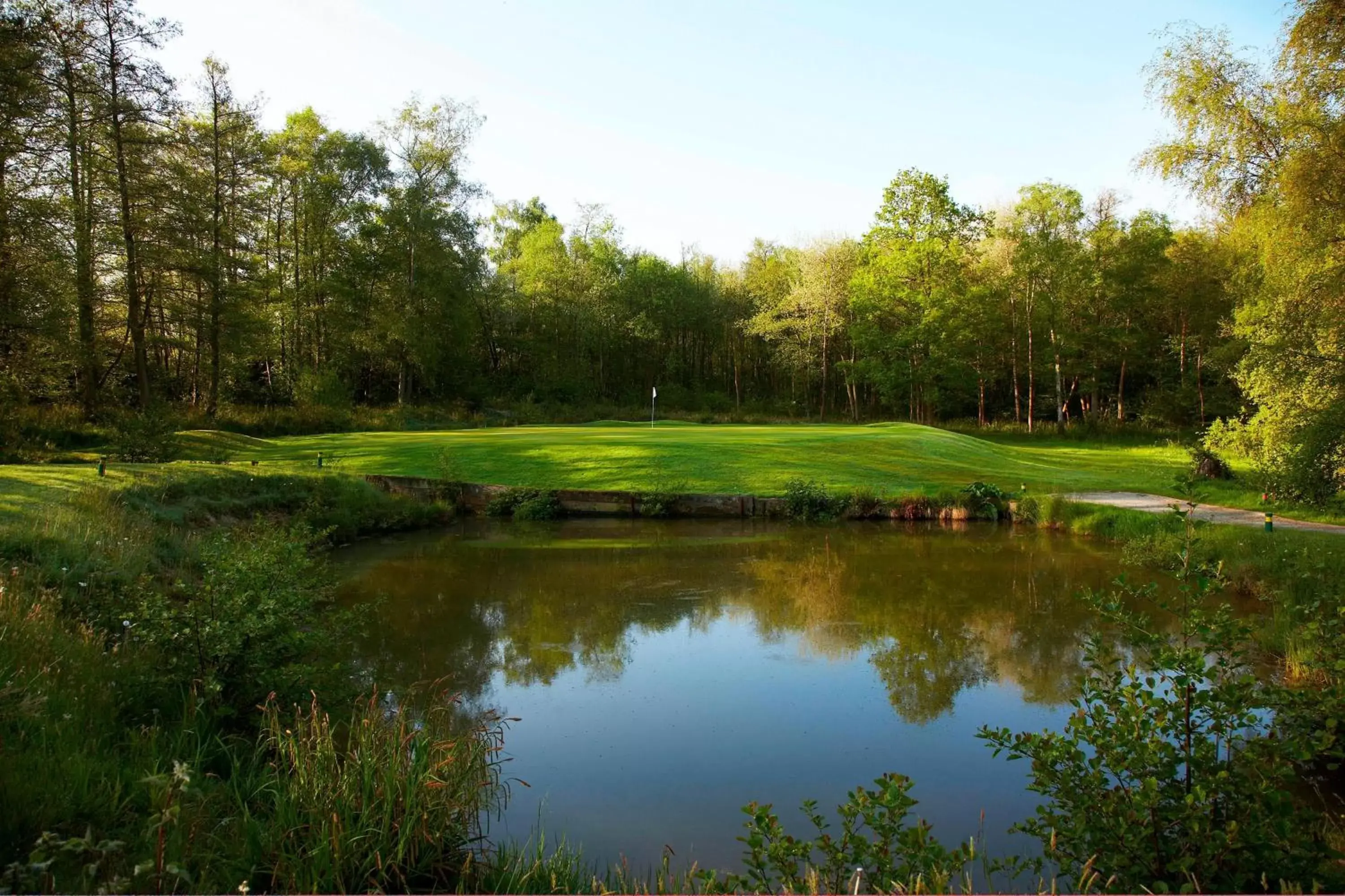 Golfcourse, Golf in Lingfield Park Marriott Hotel & Country Club