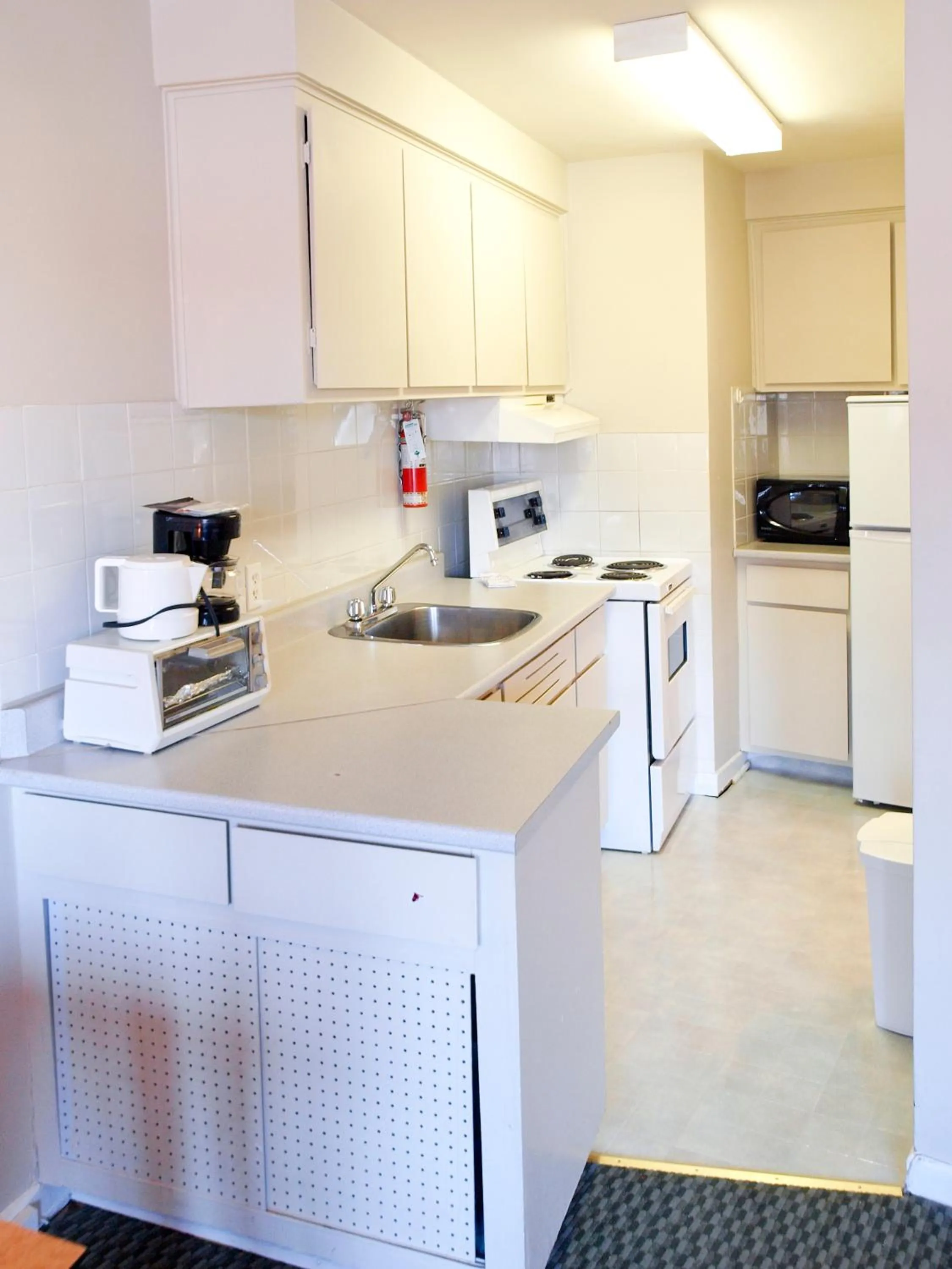 Kitchen or kitchenette in Beausejour Hotel Apartments/Hotel Dorval