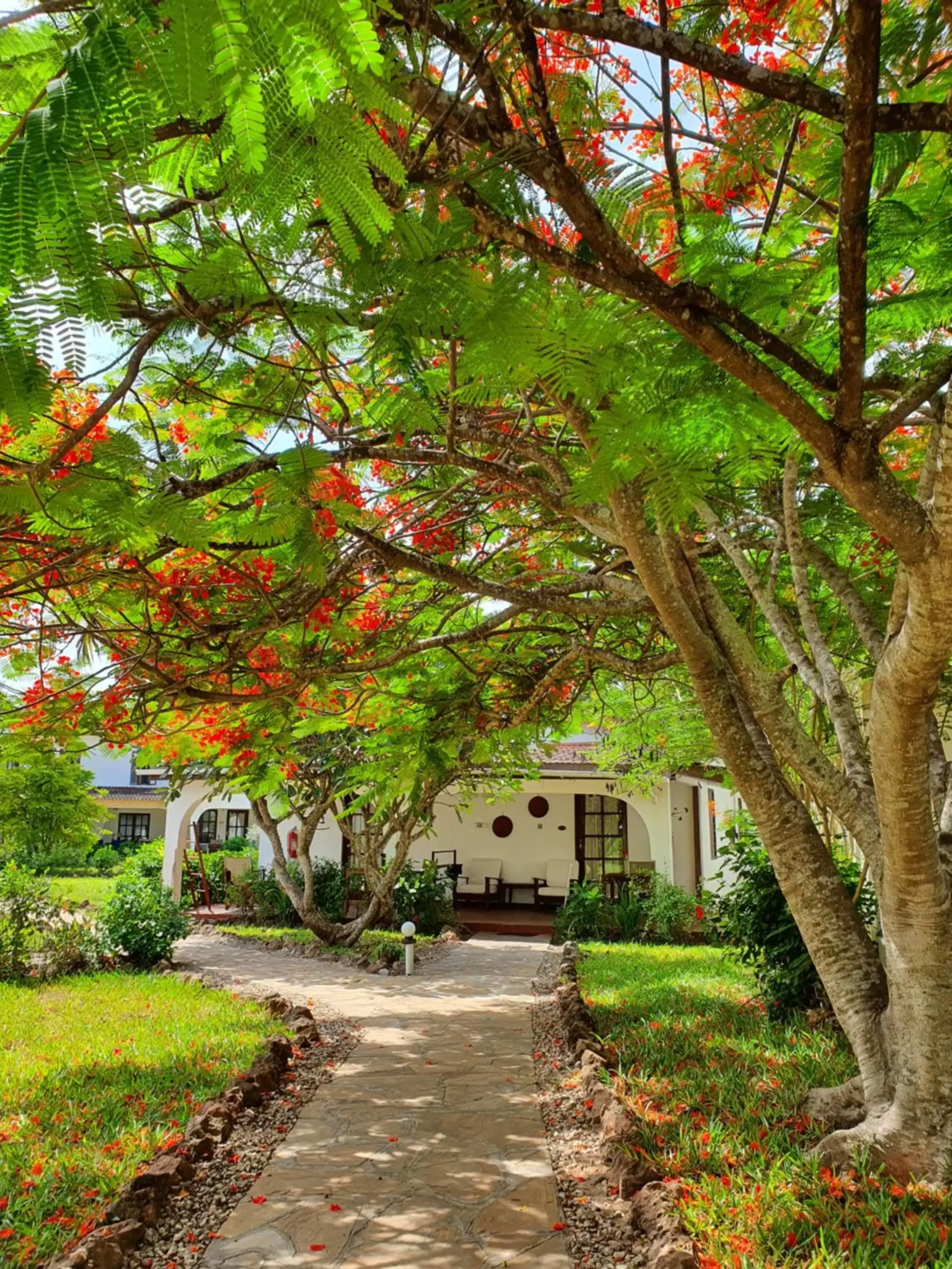 Property Building in Flame Tree Cottages