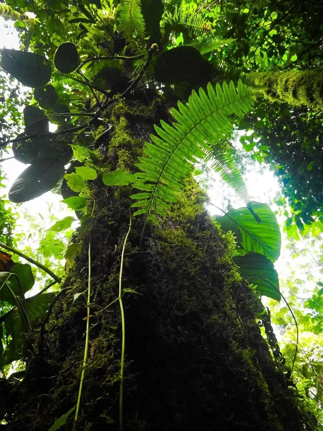 Property building in Sangregado Lodge Property building in Sangregado Lodge