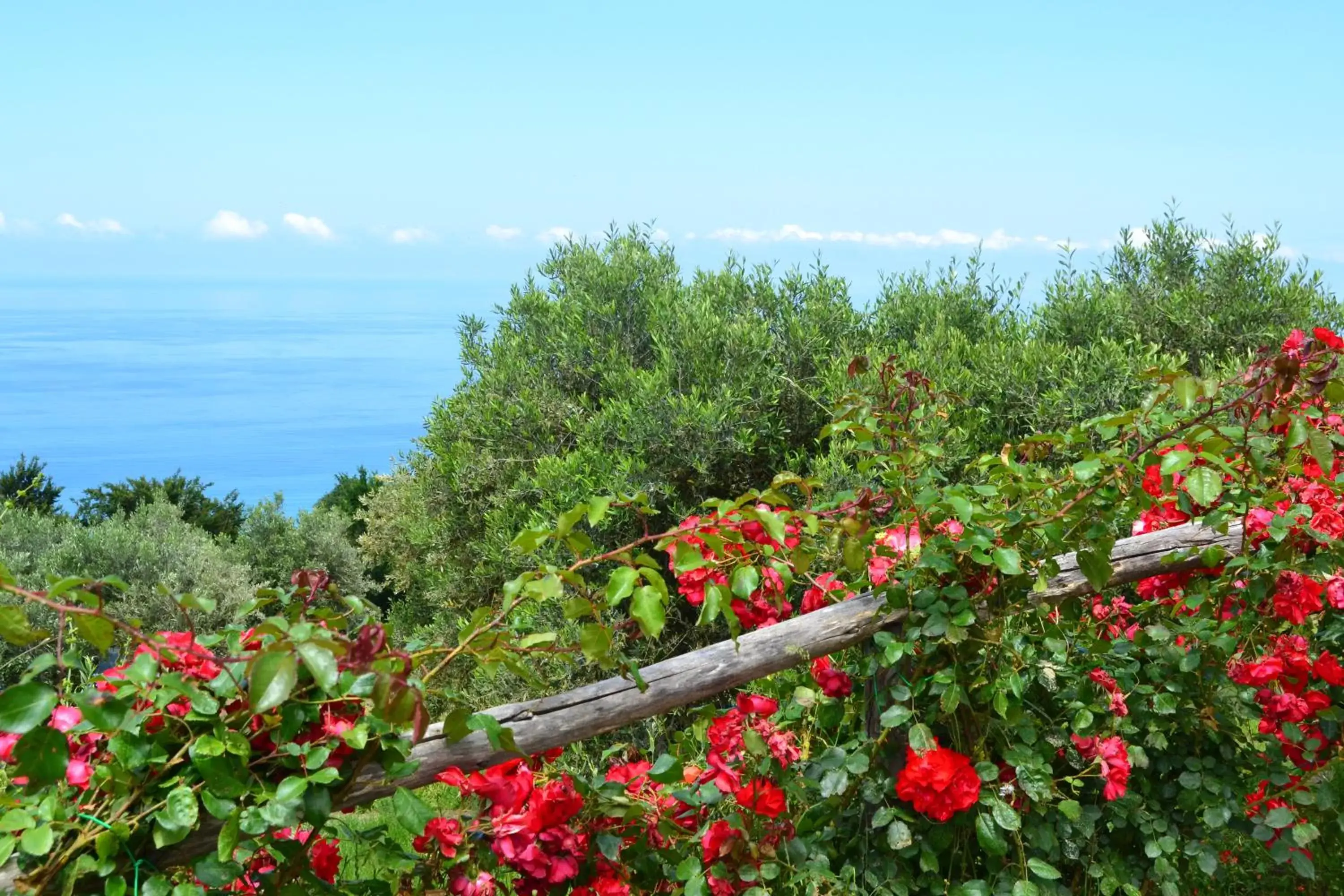 Garden in Borgo Rosso di Sera Resort