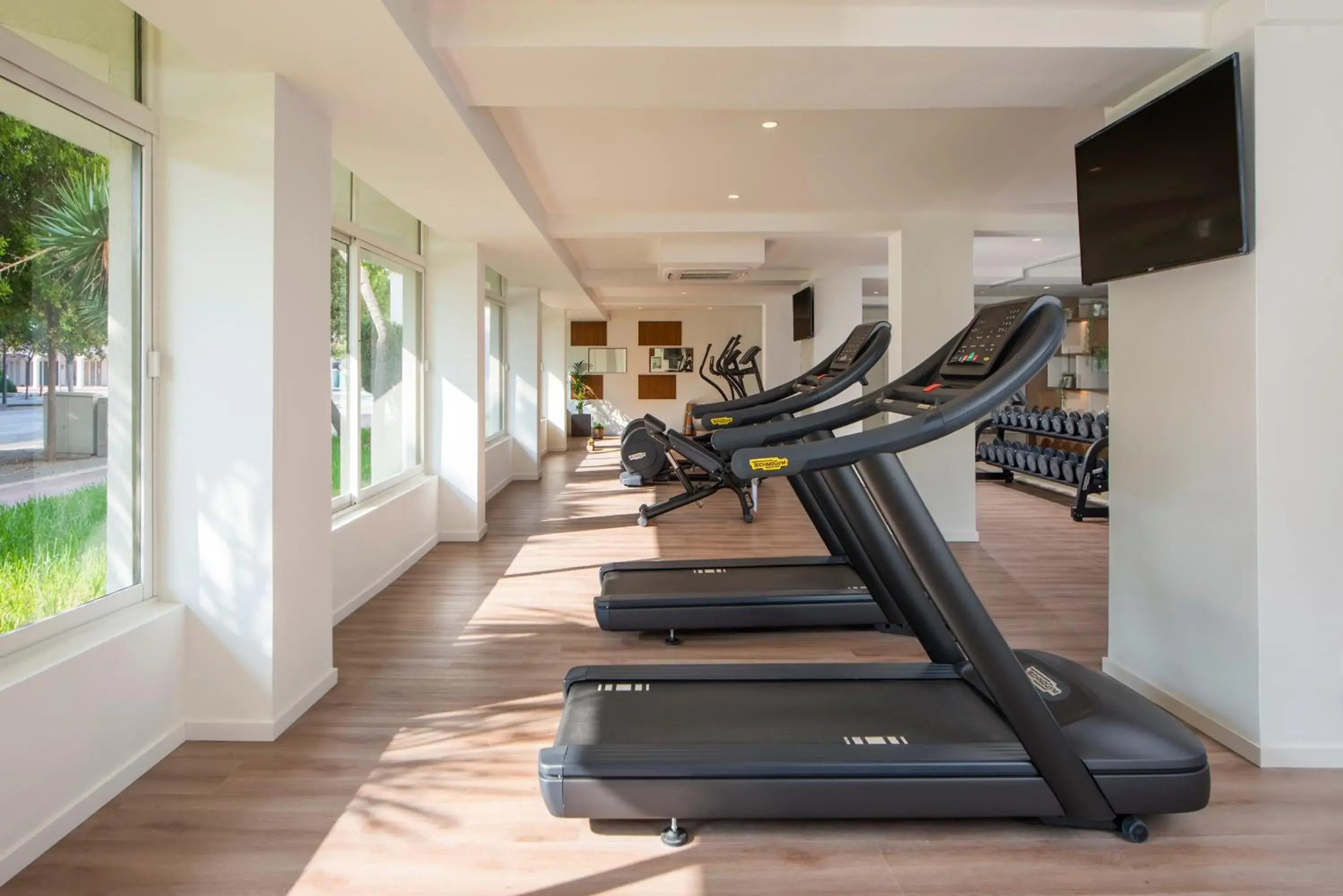 Activities, Fitness Center/Facilities in Sol By Melia Alcudia