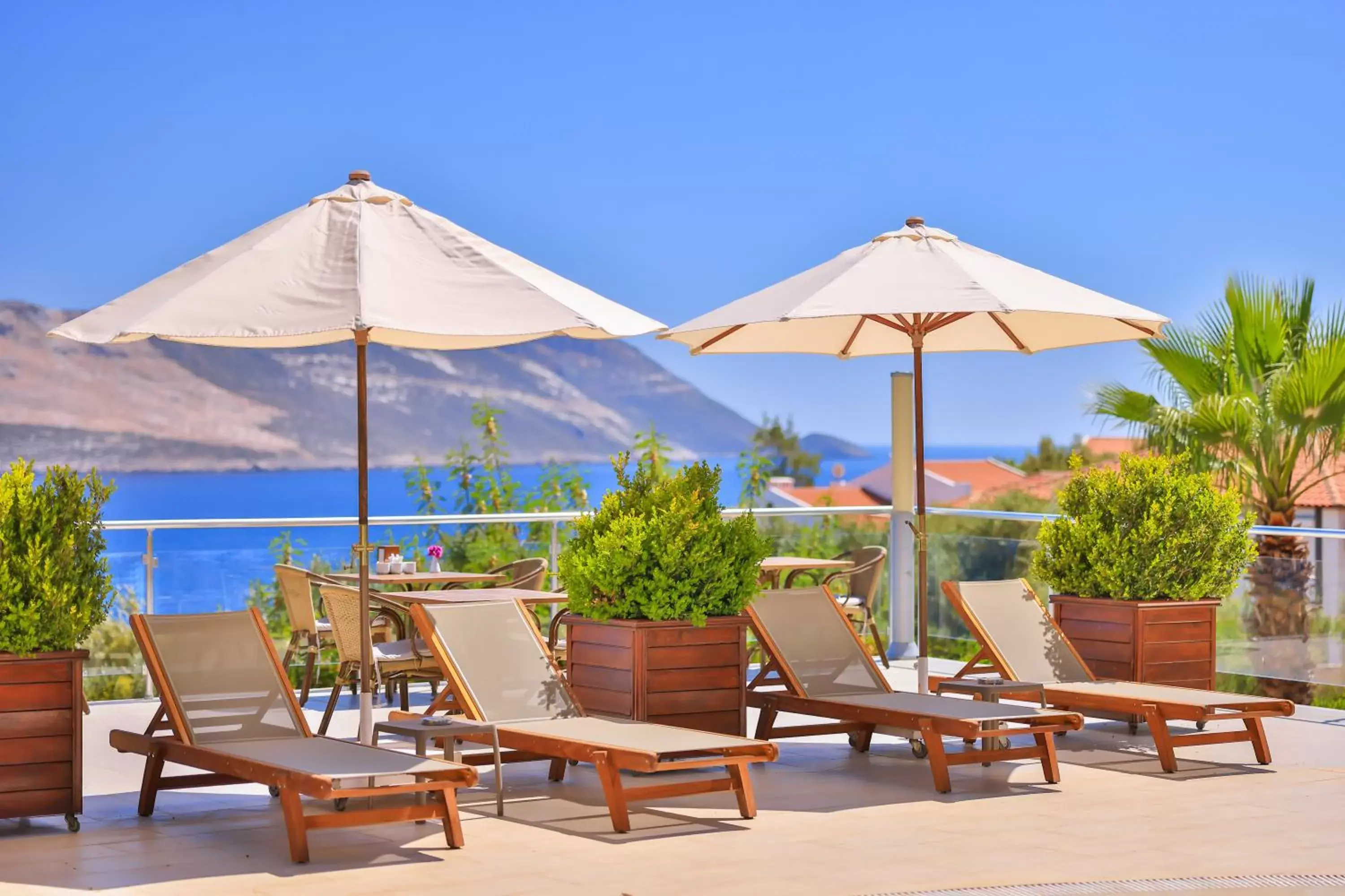 View (from property/room) in Olea Nova Hotel View (from property/room) in Olea Nova Hotel