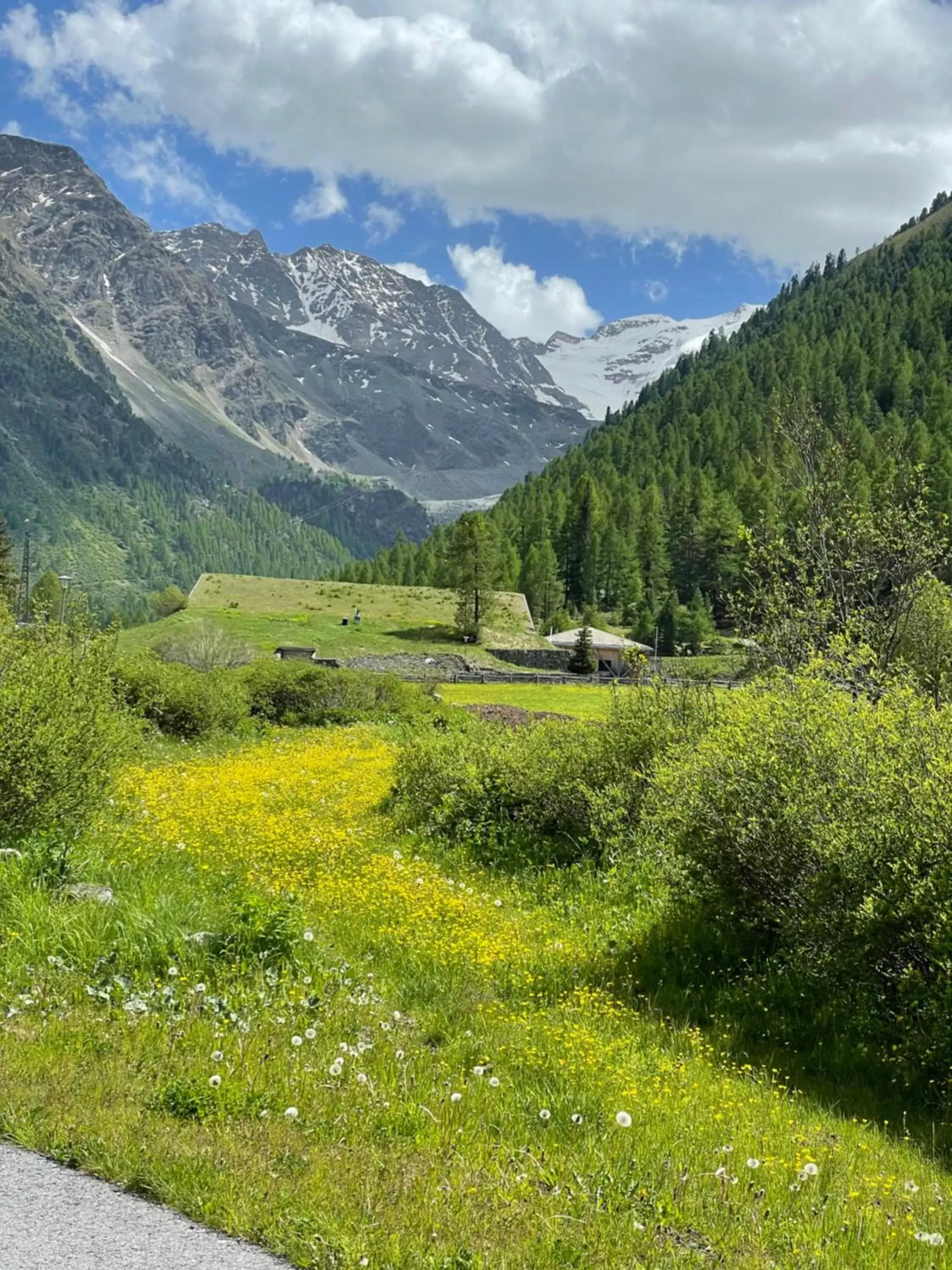 Natural Landscape in Hotel Bambi Am Park