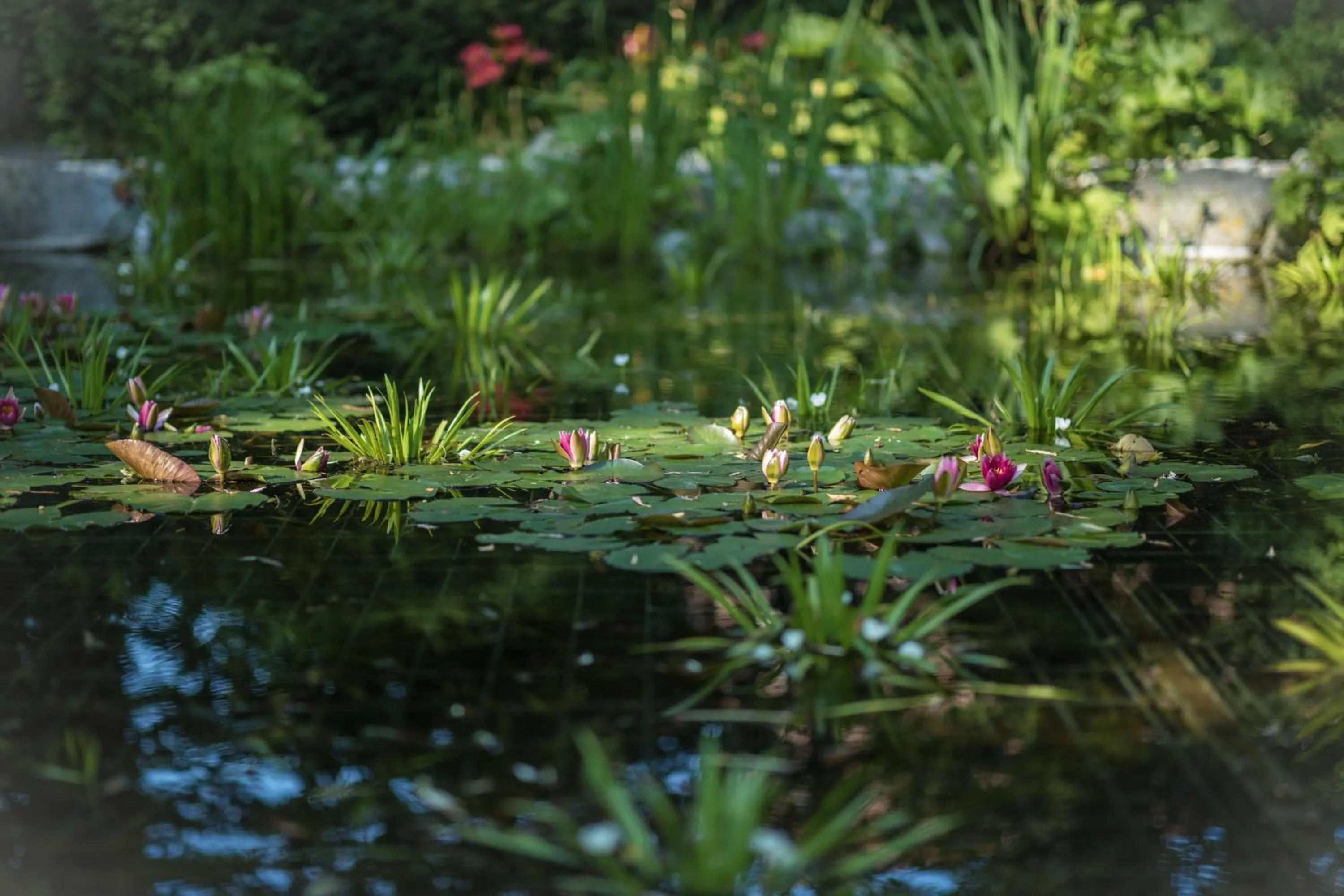 Garden in Parkhotel Schmid